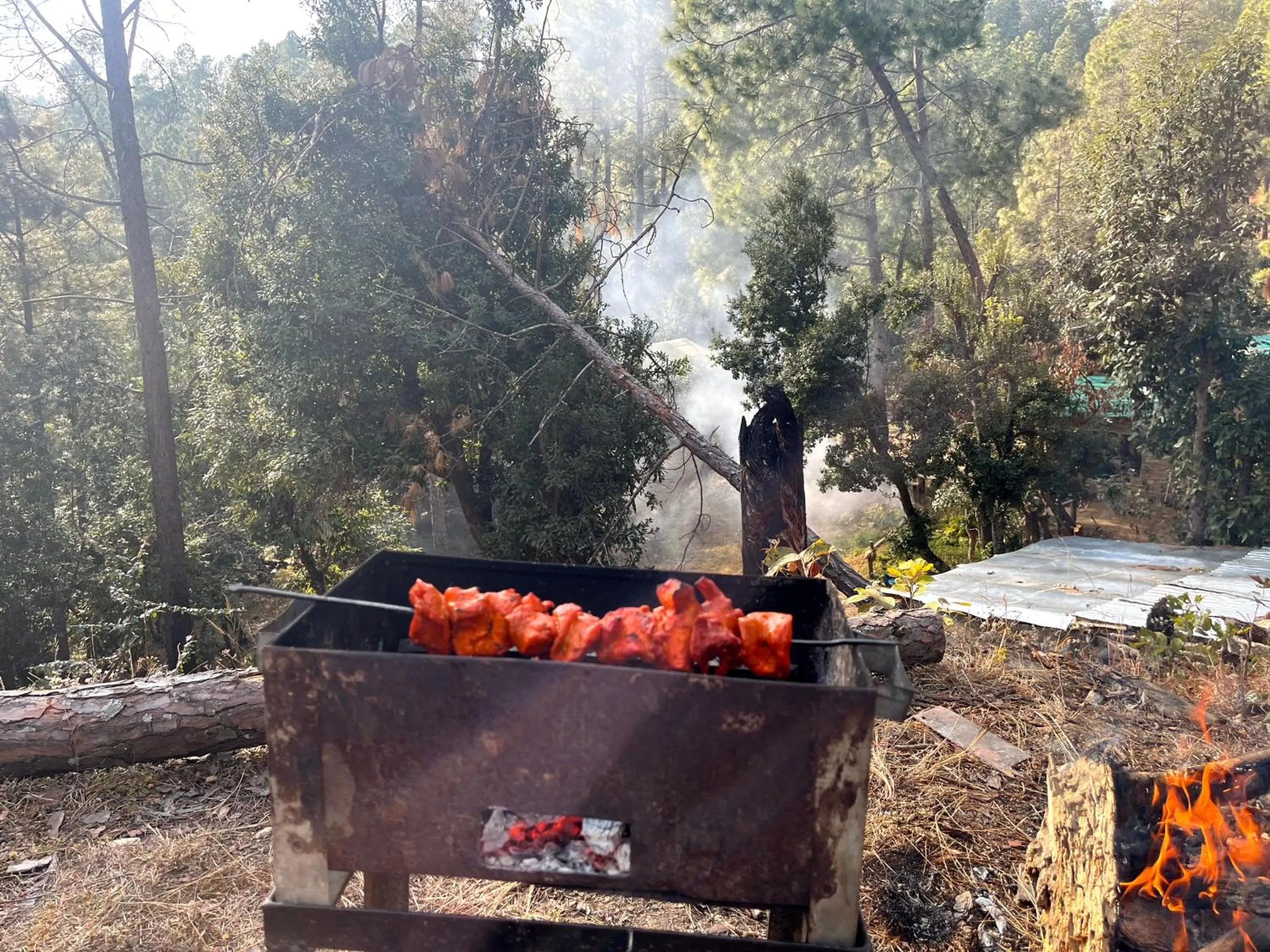 BBQ facilities in Glampinn Woods