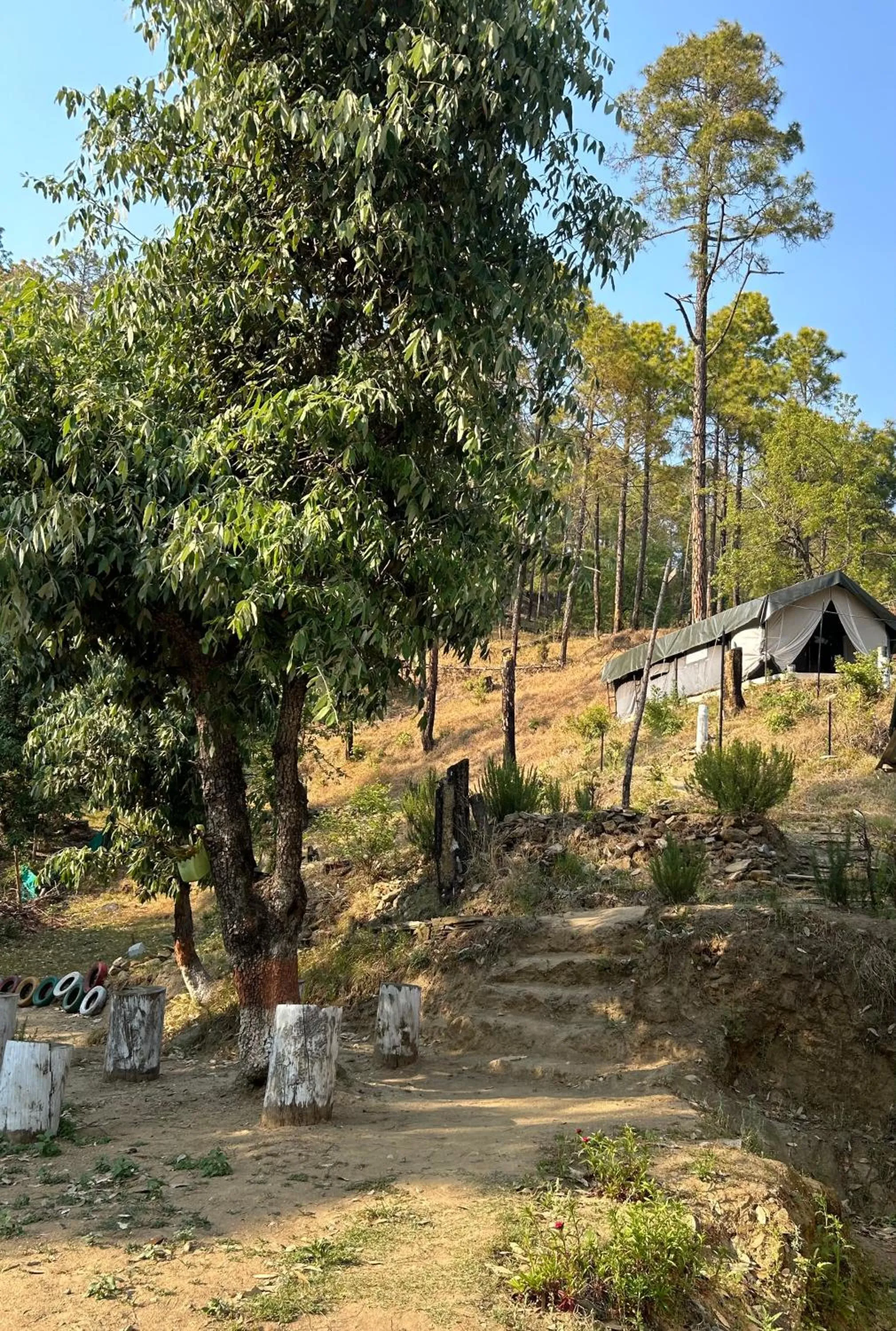 Garden view in Glampinn Woods