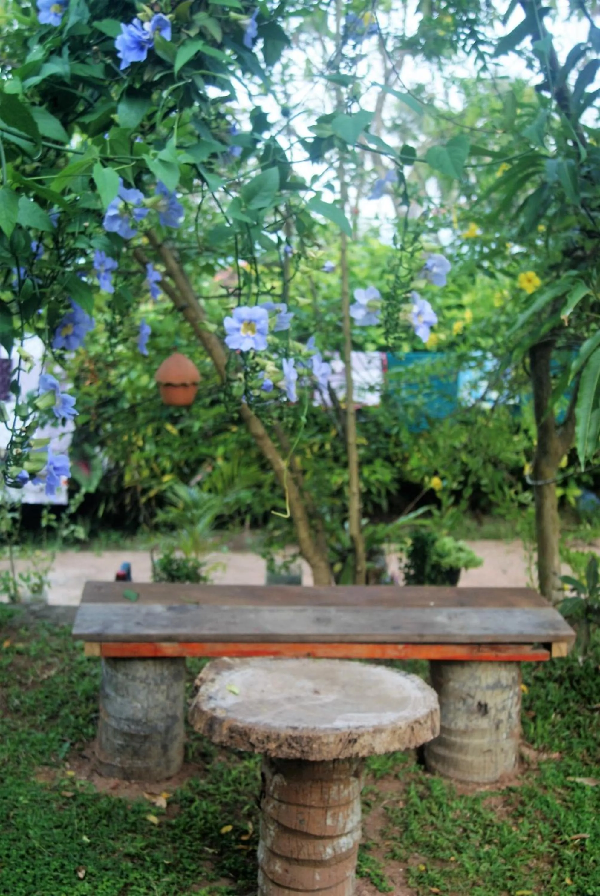 Area and facilities in Ananda Home Stay and Restaurant