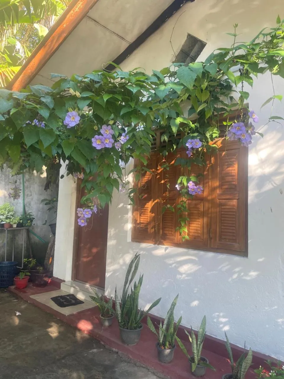 Garden view in Ananda Home Stay and Restaurant