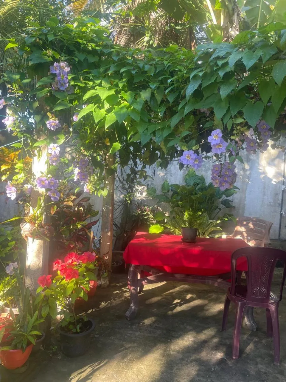 Restaurant/places to eat in Ananda Home Stay and Restaurant