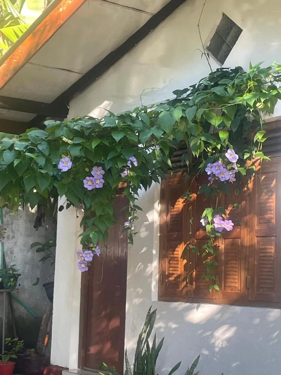 Garden view in Ananda Home Stay and Restaurant