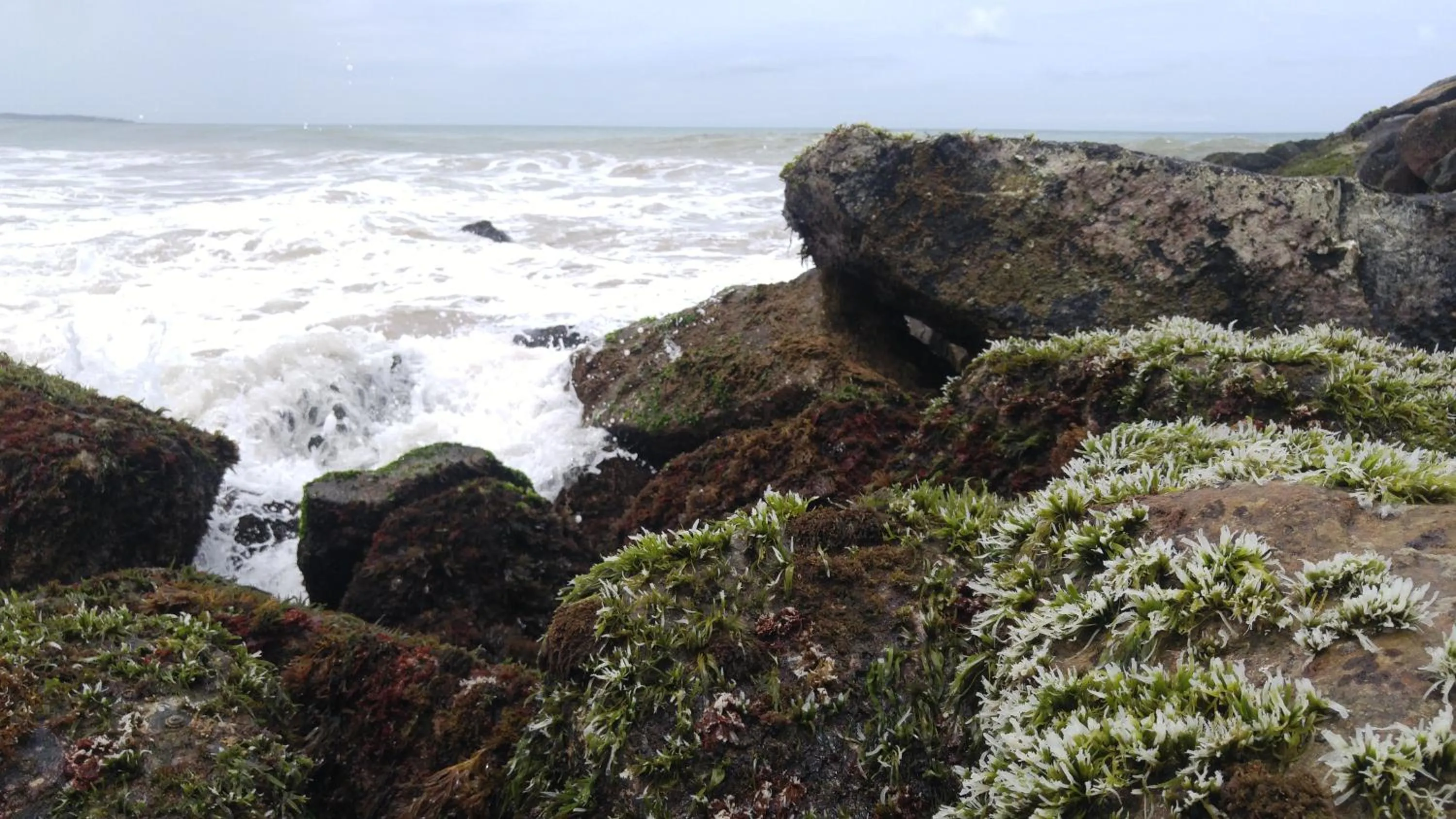 Natural landscape in Ananda Home Stay and Restaurant