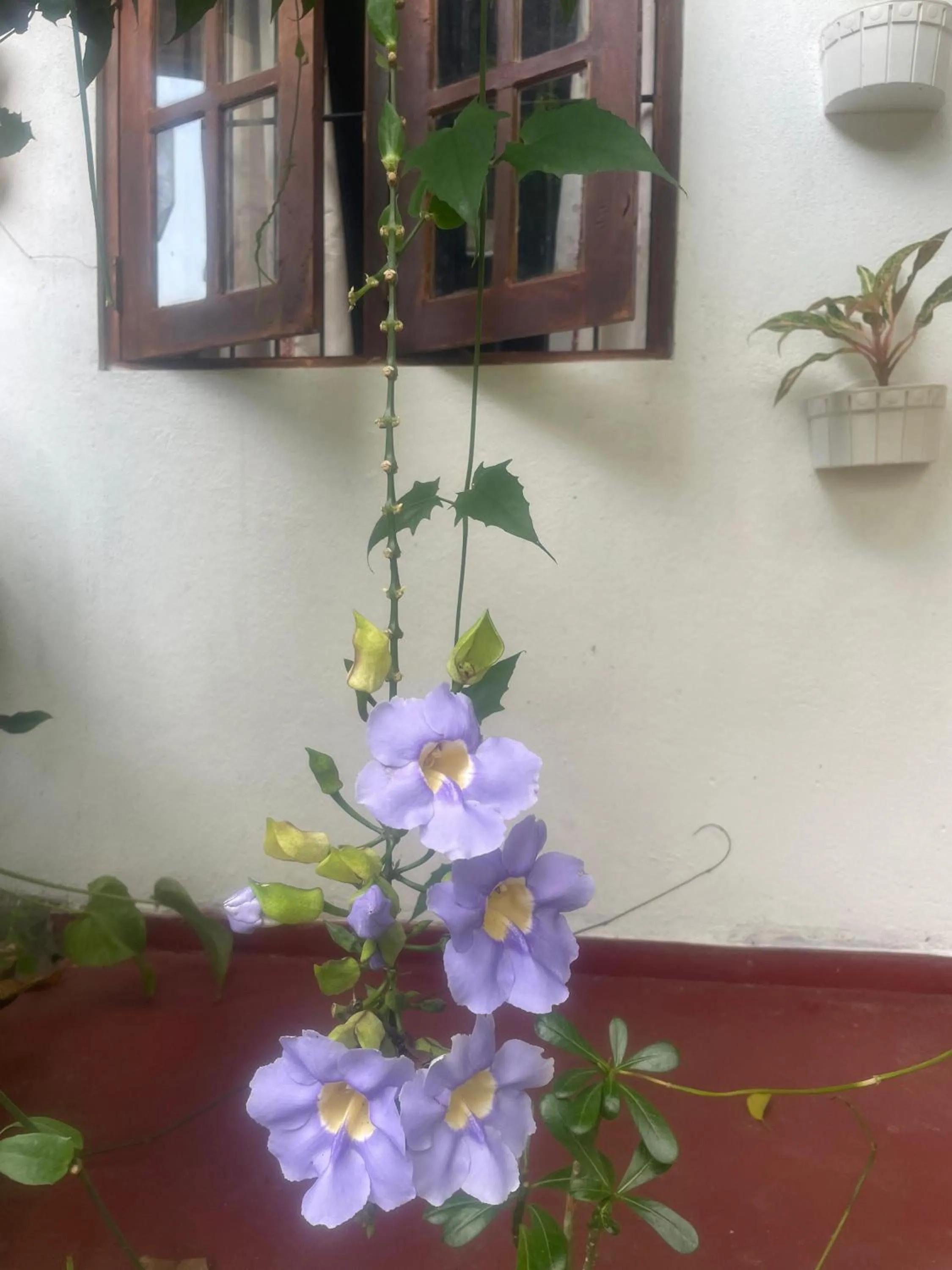 Property building in Ananda Home Stay and Restaurant