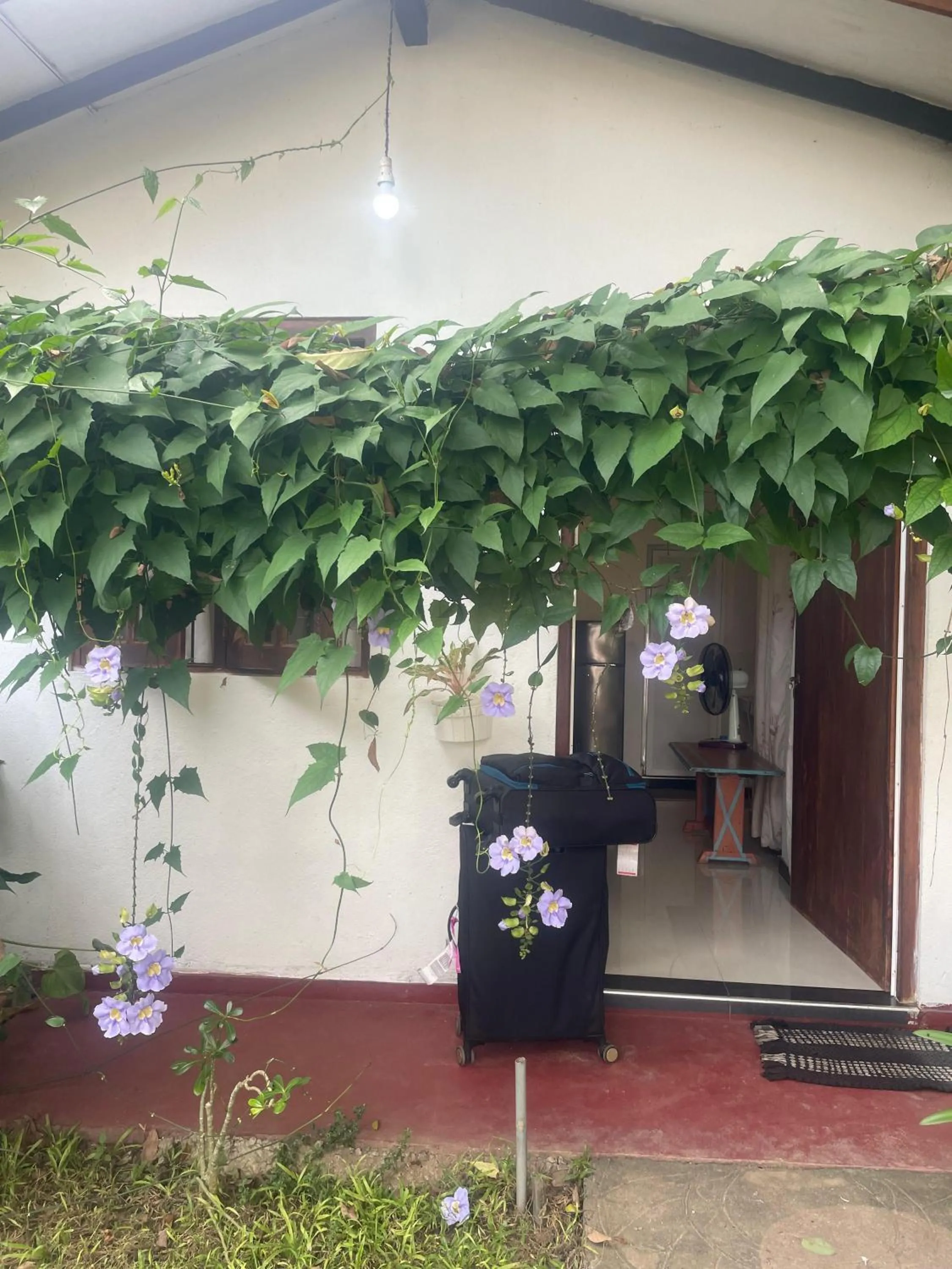 Property building in Ananda Home Stay and Restaurant