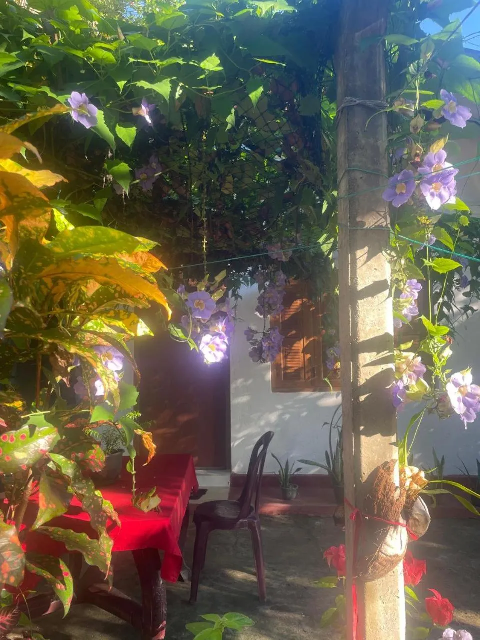 Garden view in Ananda Home Stay and Restaurant