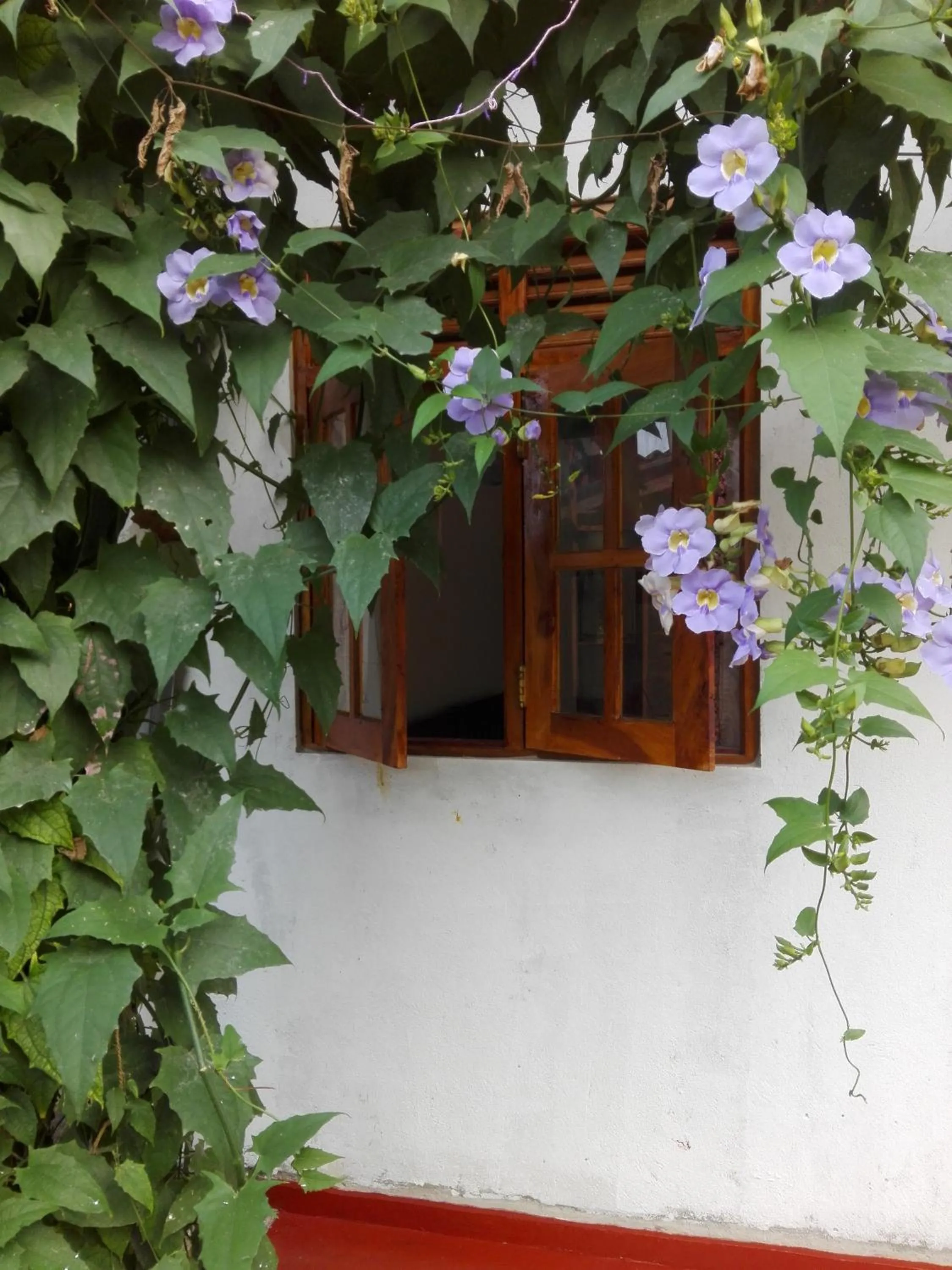 Studio with Garden View in Ananda Home Stay and Restaurant
