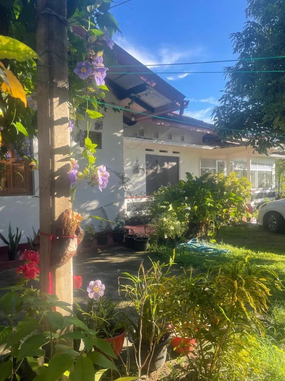 Garden view in Ananda Home Stay and Restaurant