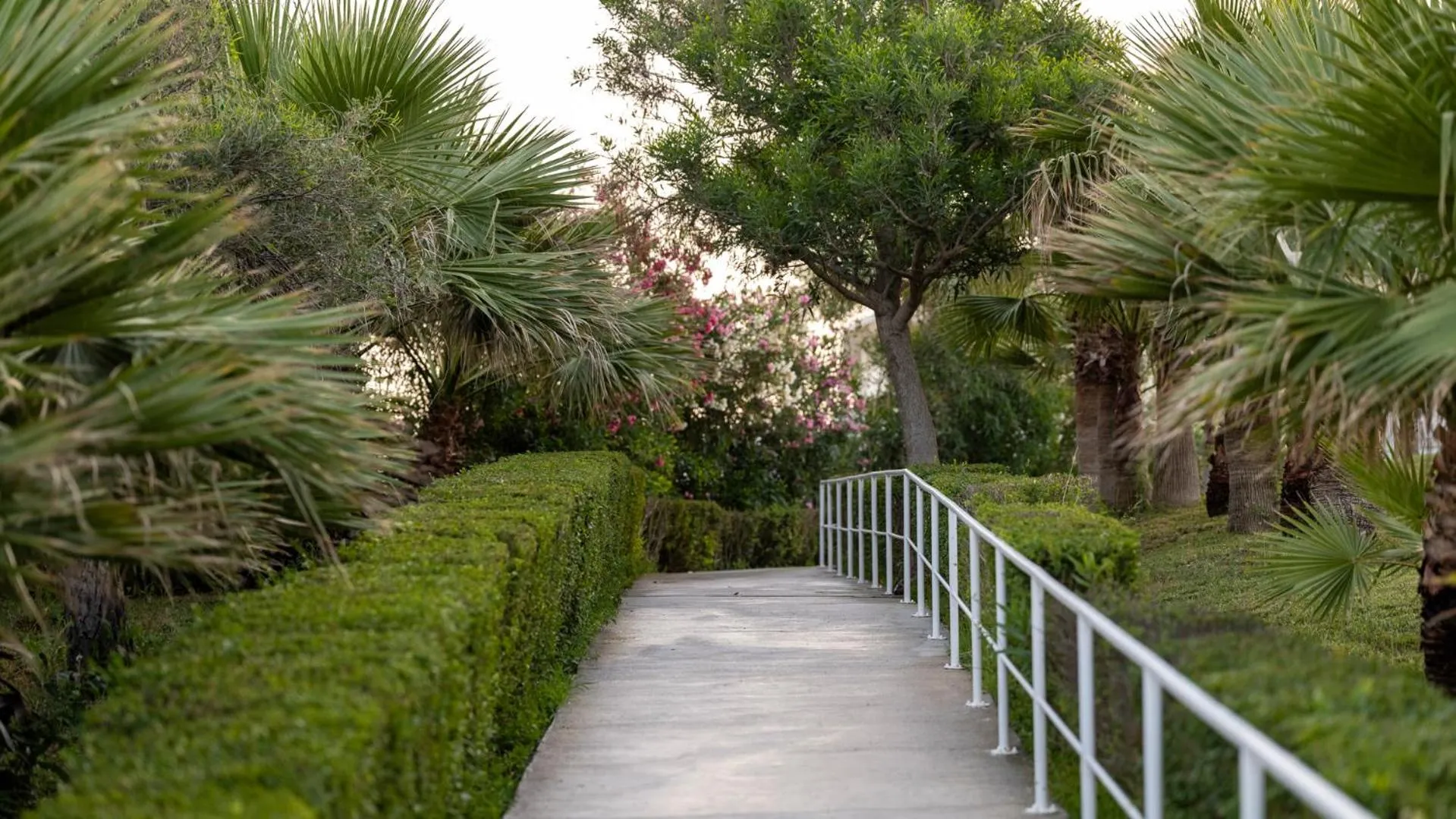 Garden in Numa Club Side Hotel - Ultra All Inclusive