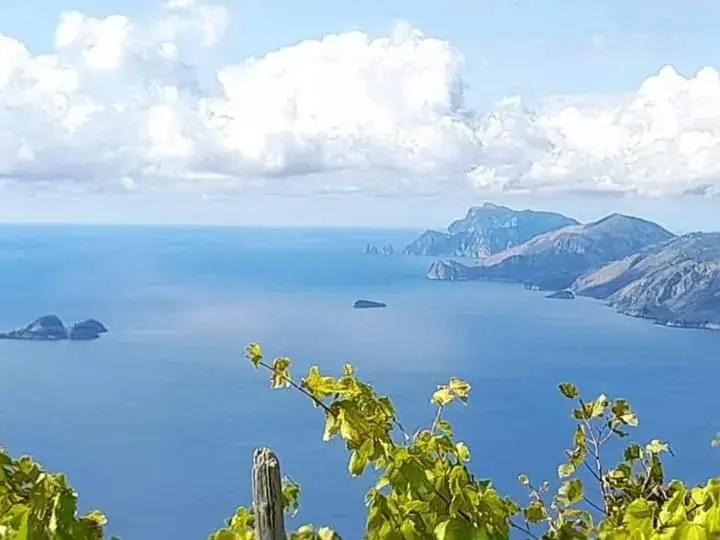 vecchio west vecchio west