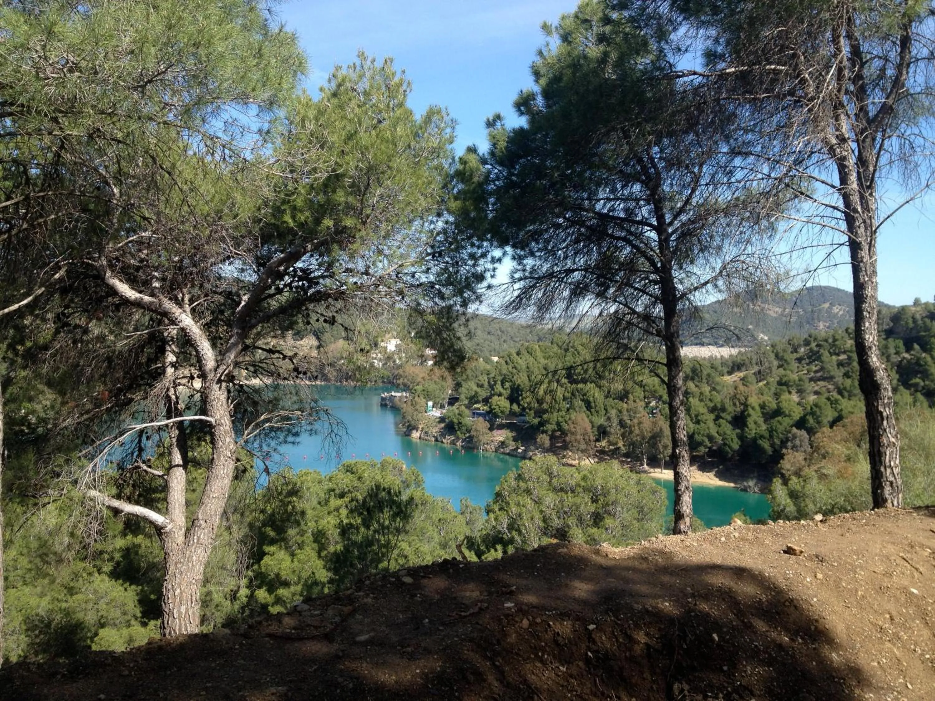 Natural landscape in Villa Conmigo Bed & Breakfast