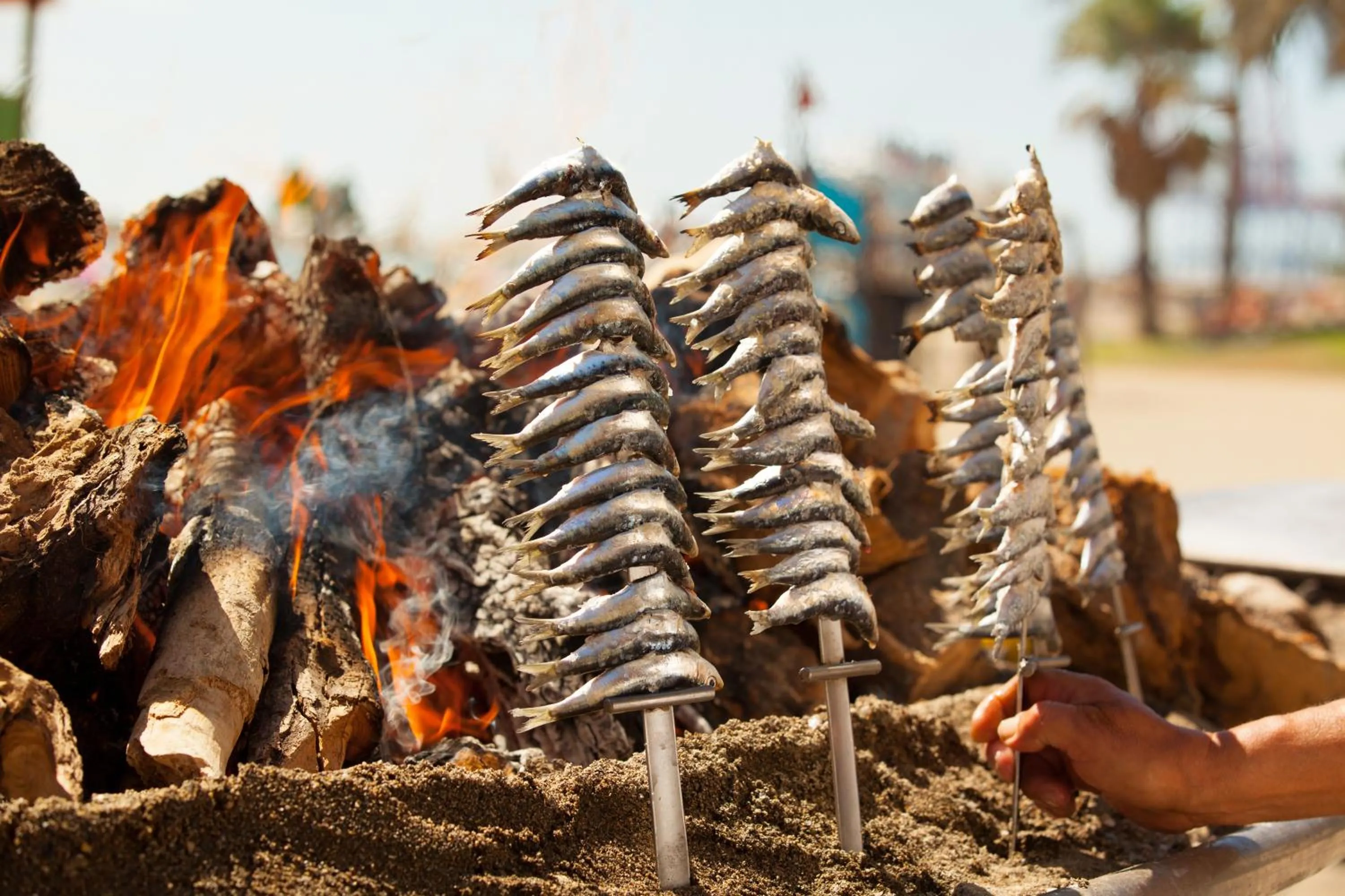 Food close-up in Villa Conmigo Bed & Breakfast