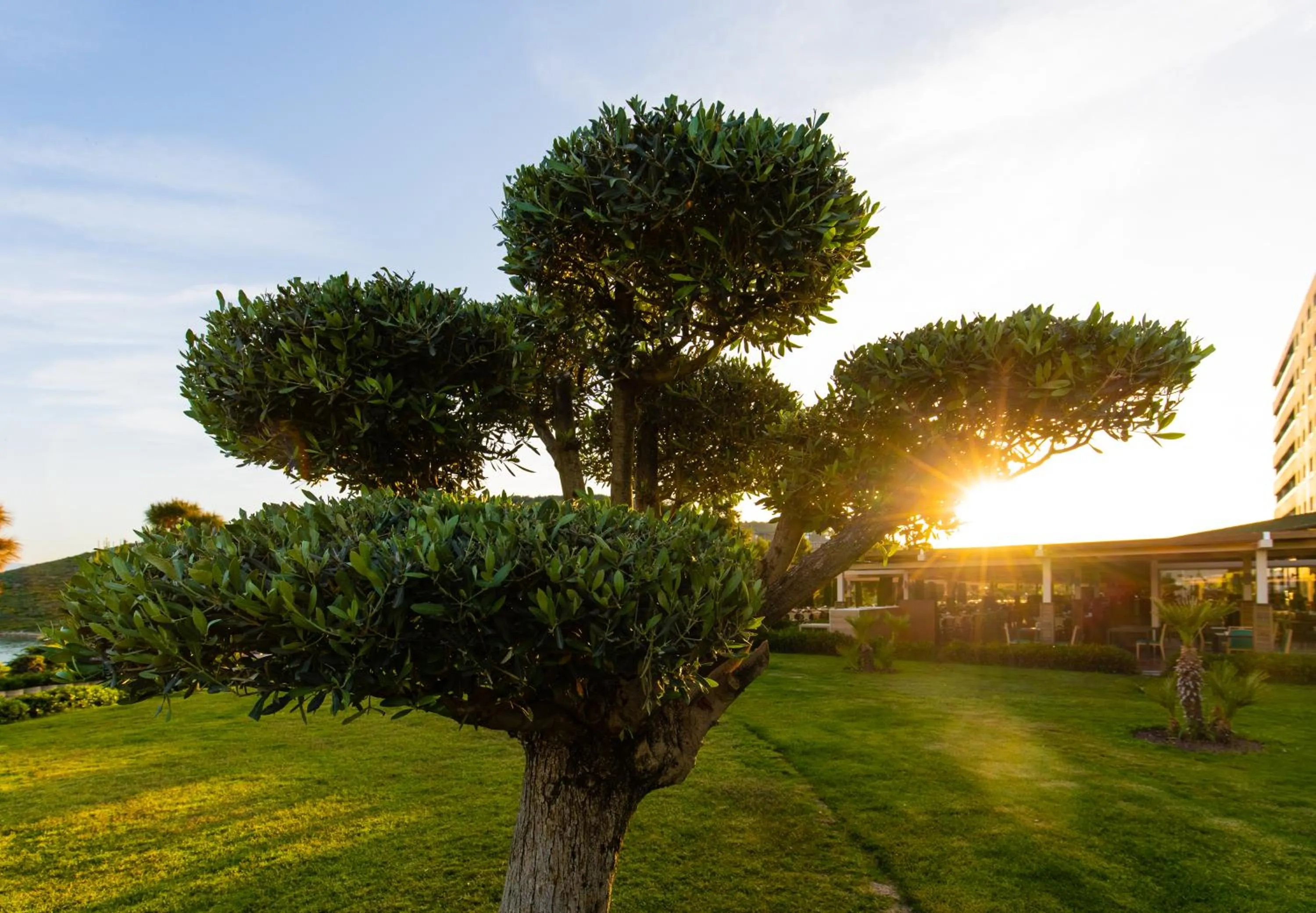 Natural landscape in La Blanche Island Bodrum