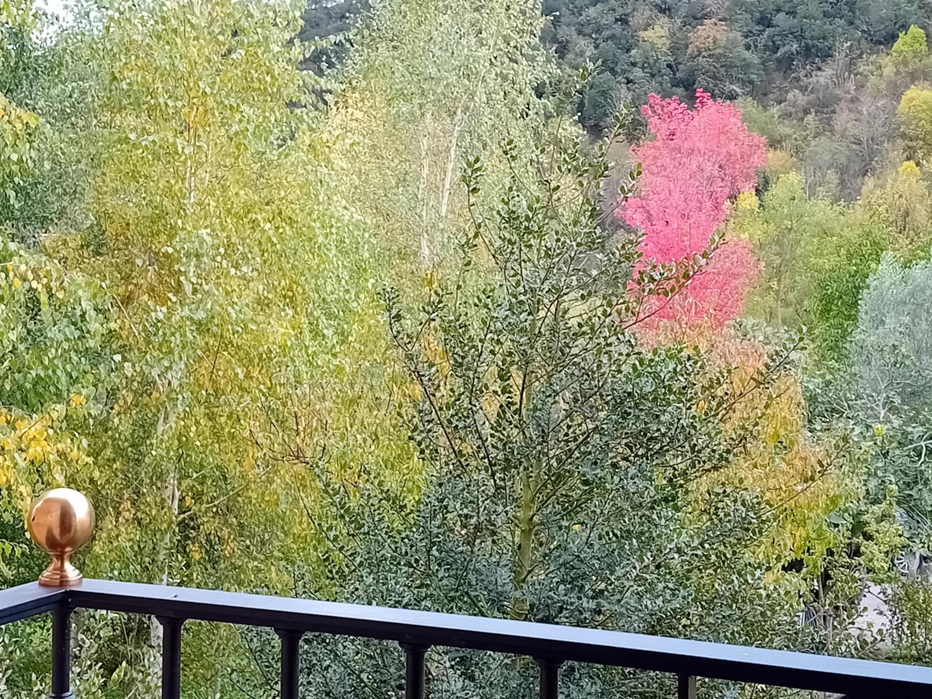 View (from property/room) in Picos de Europa Suites and Rooms