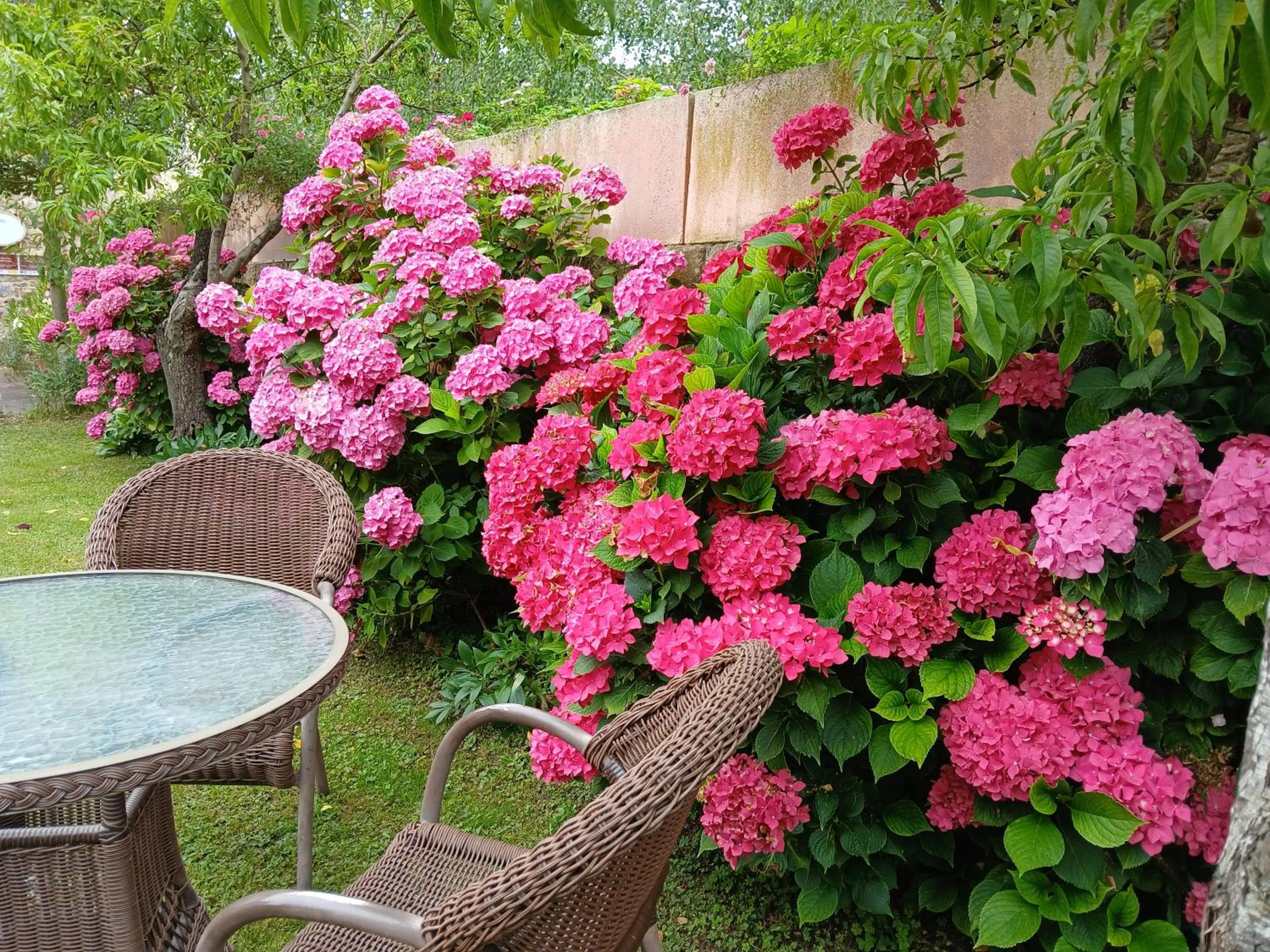 Garden in Picos de Europa Suites and Rooms