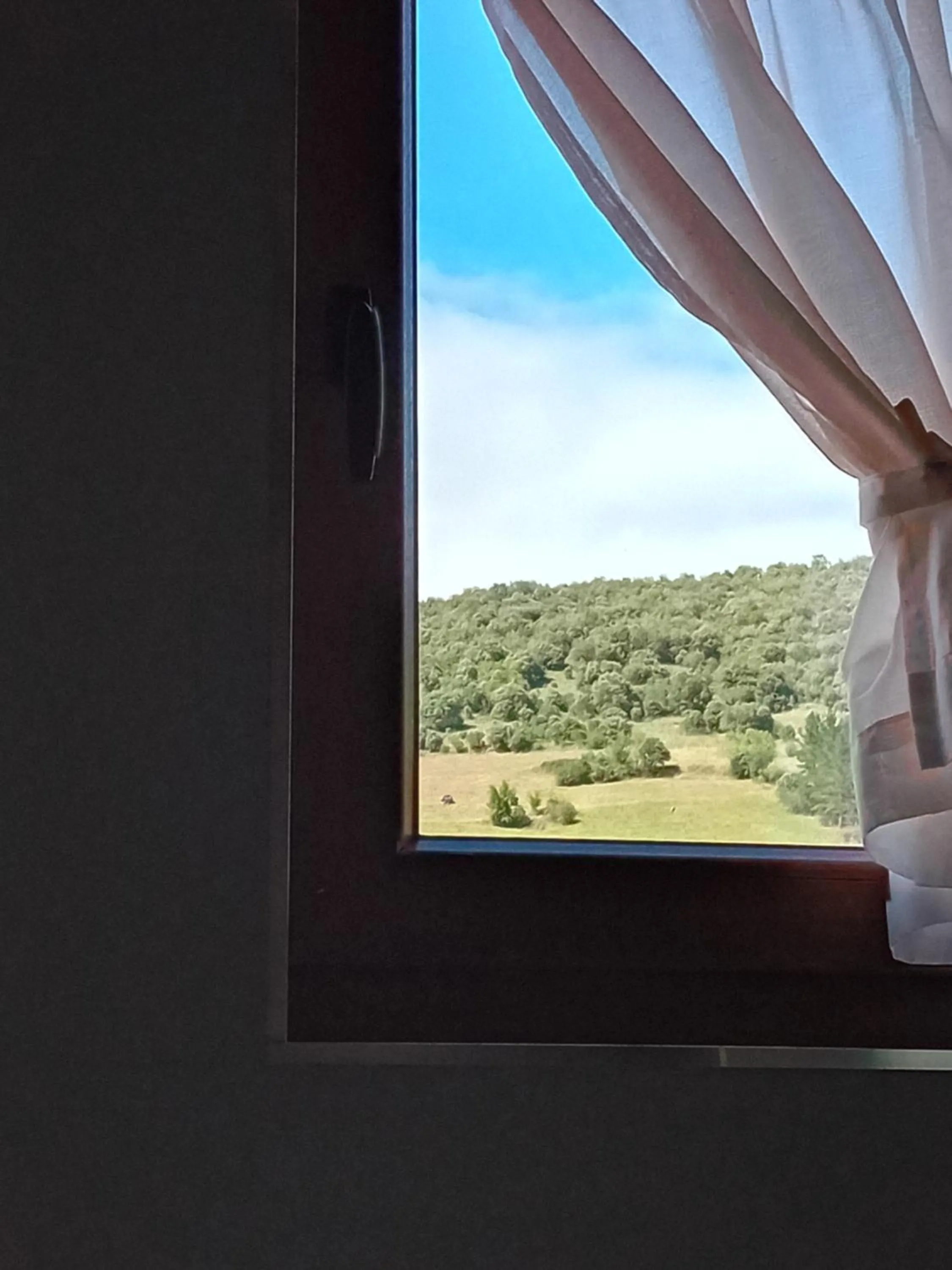 Natural landscape in Picos de Europa Suites and Rooms