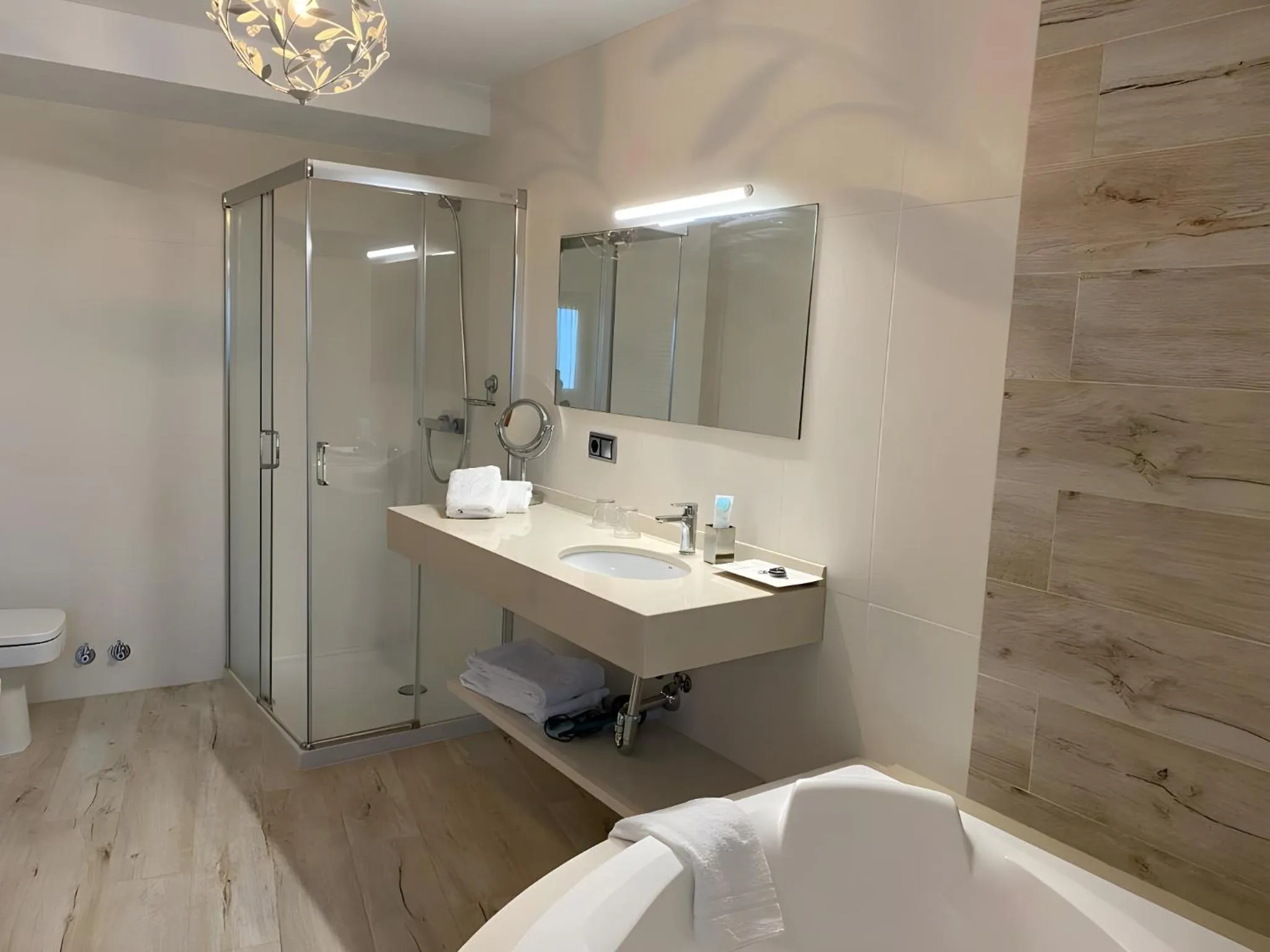 Shower in Picos de Europa Suites and Rooms