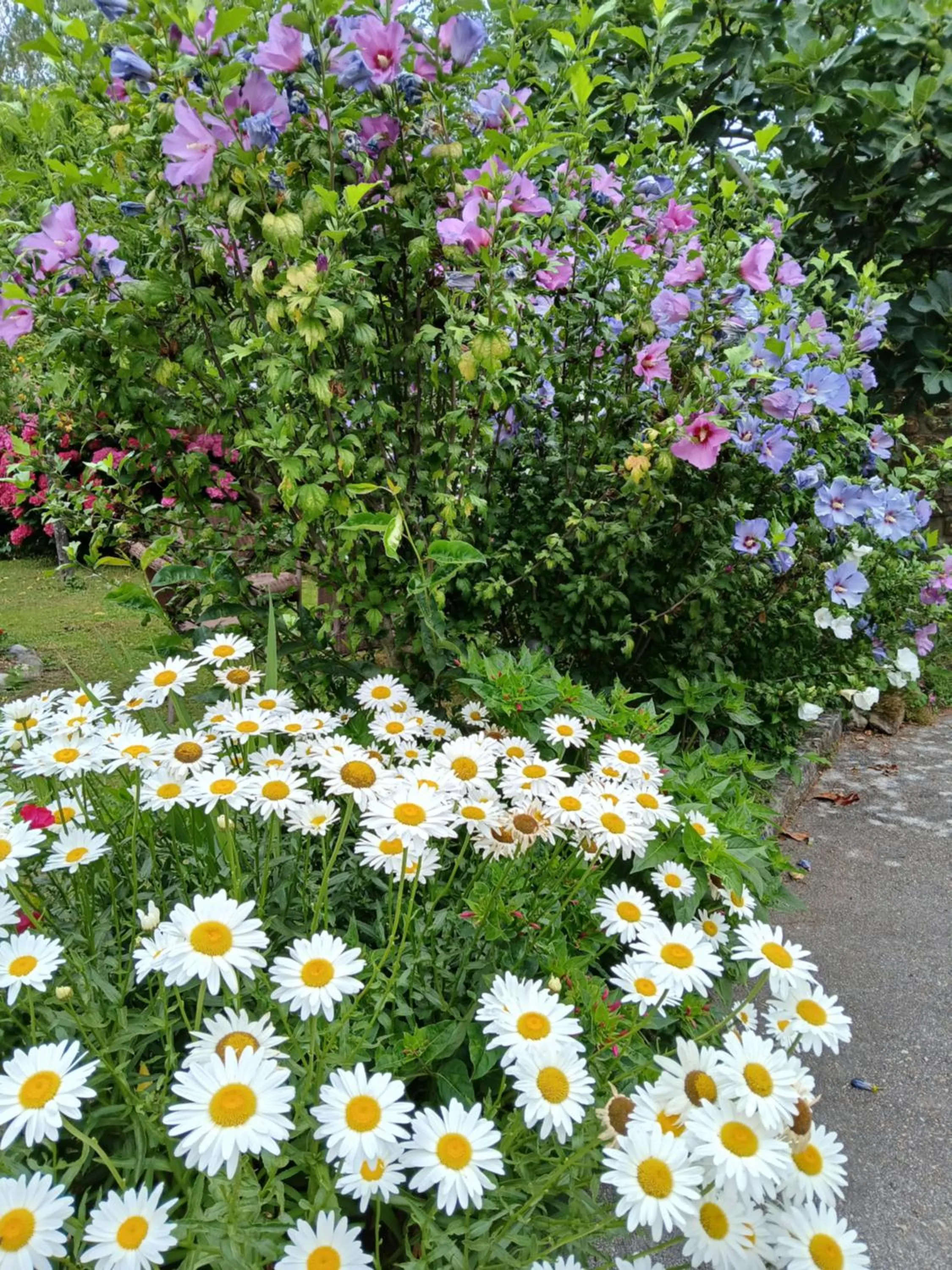Garden in Picos de Europa Suites and Rooms