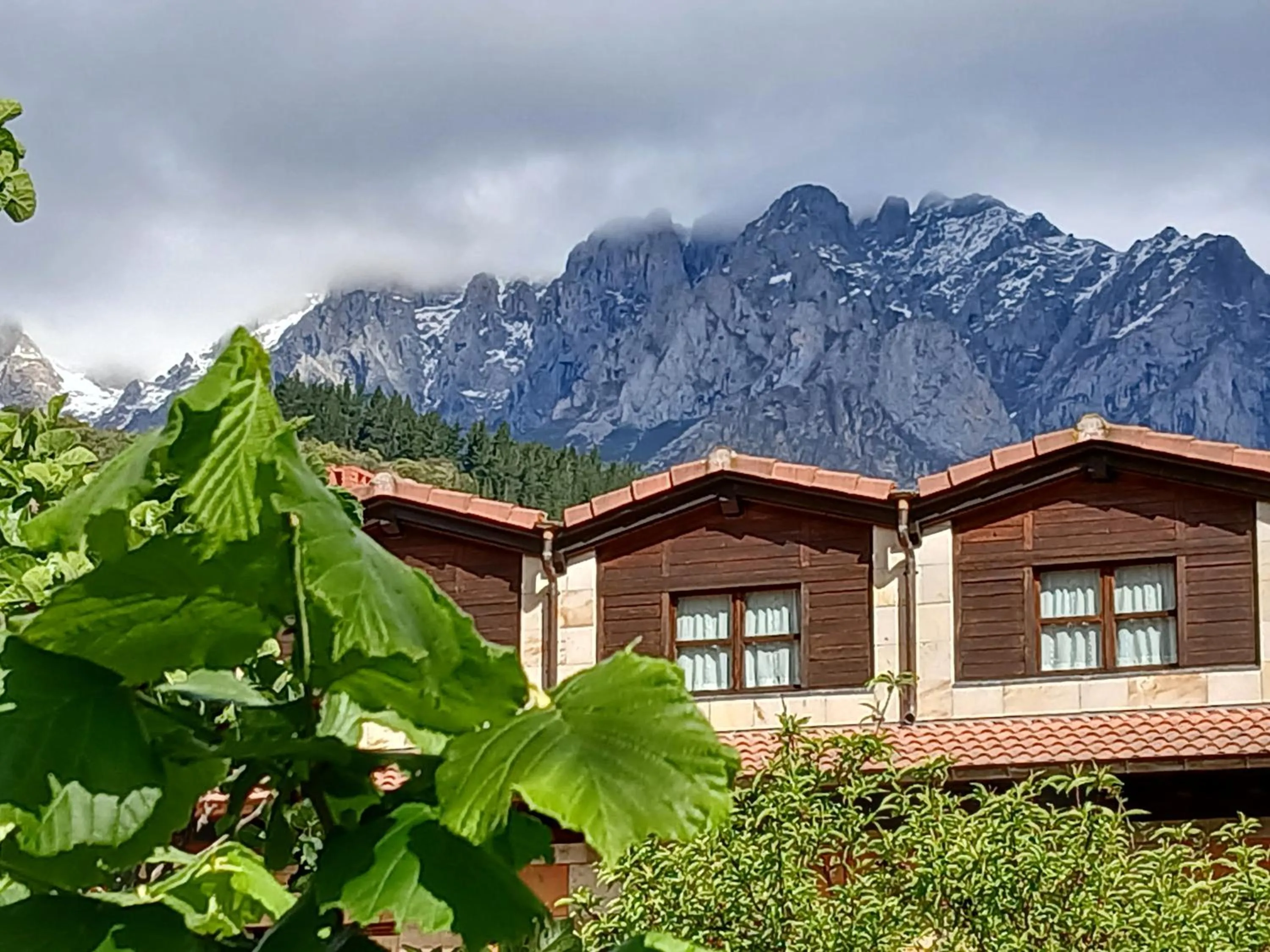 Mountain view in Picos de Europa Suites and Rooms