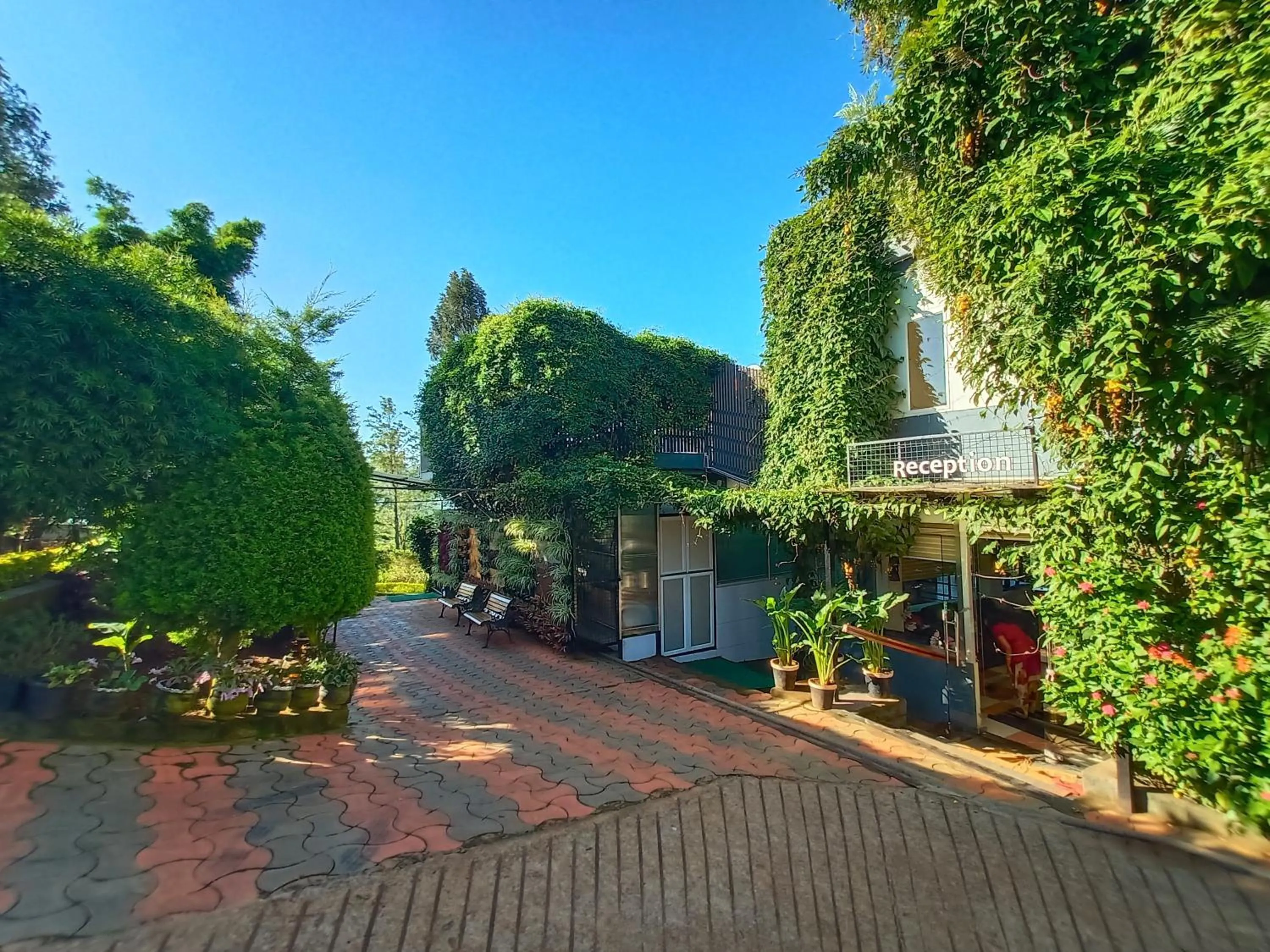 Property building in Sunvalley Homestay