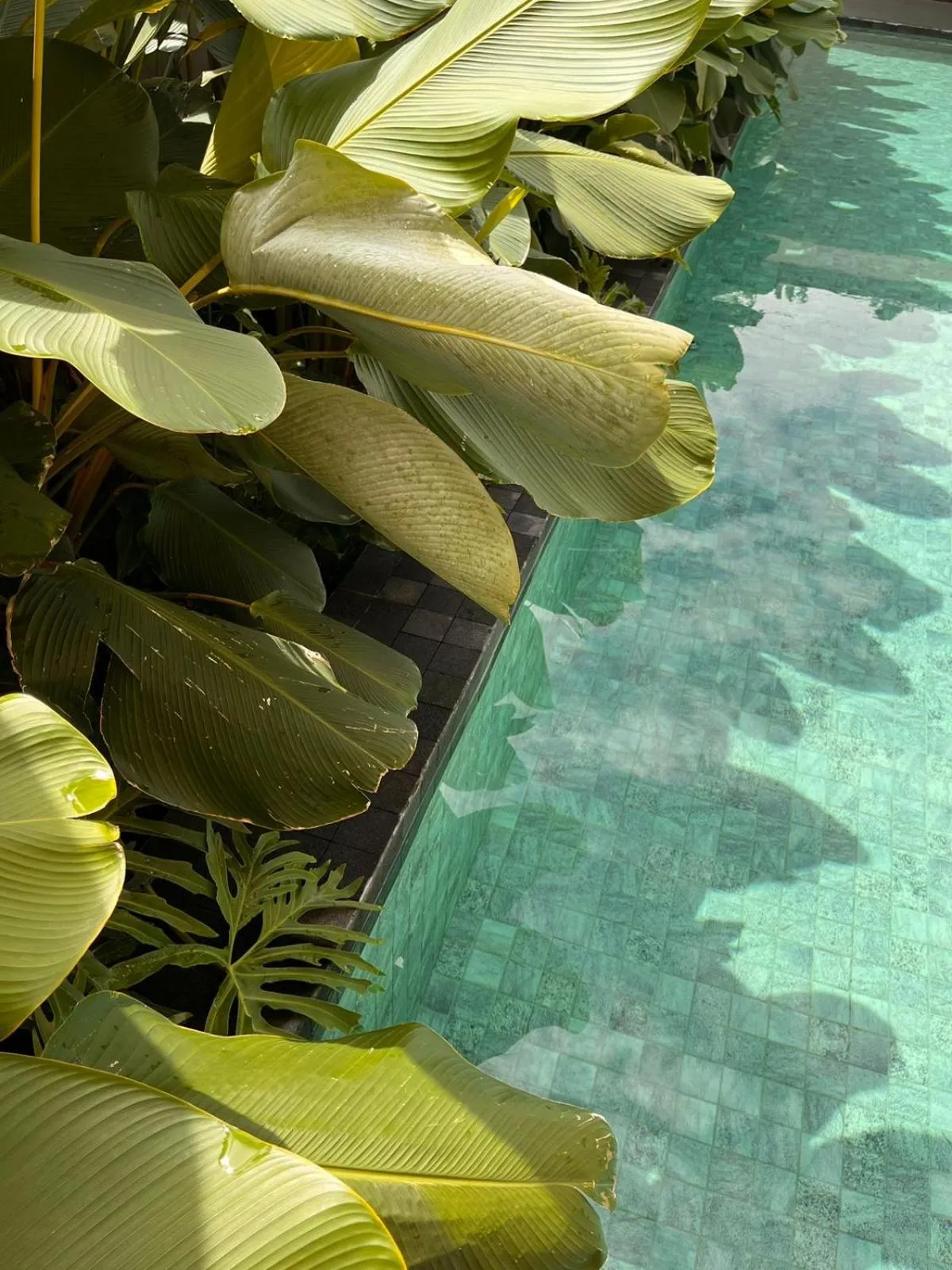 Natural landscape in Pousada Yamandu - SPA Aquecido