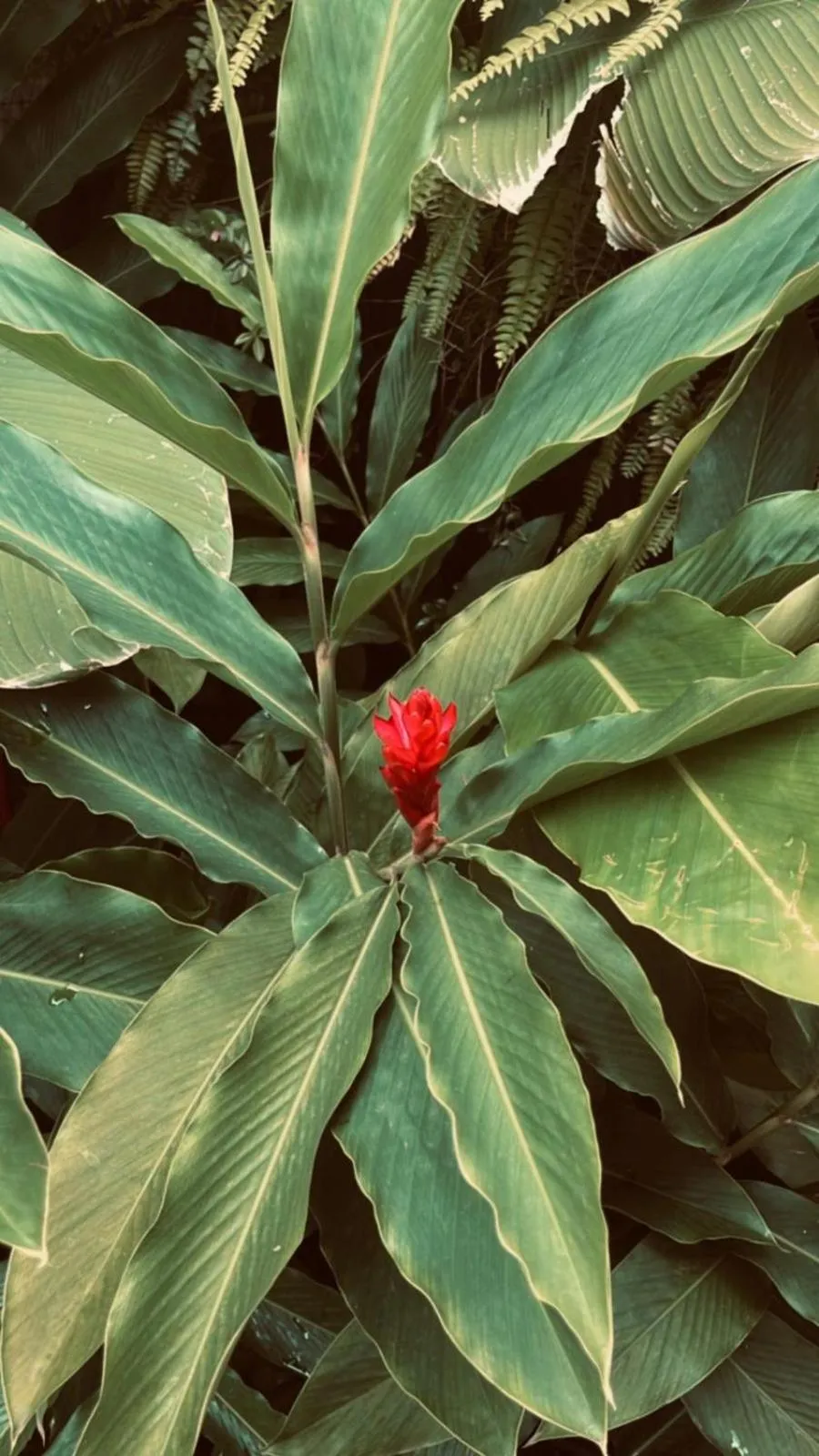 Pousada Yamandu - SPA Aquecido