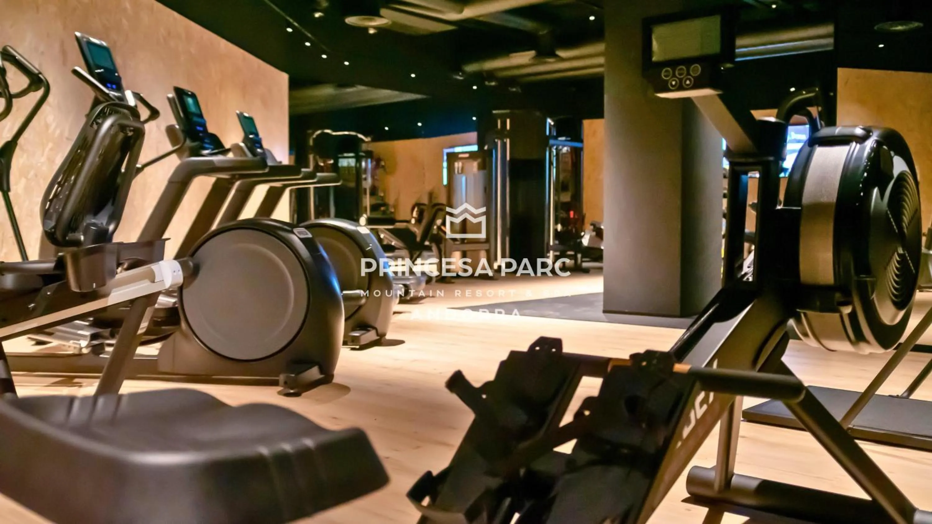 Fitness centre/facilities in Hotel Princesa Parc Excellence
