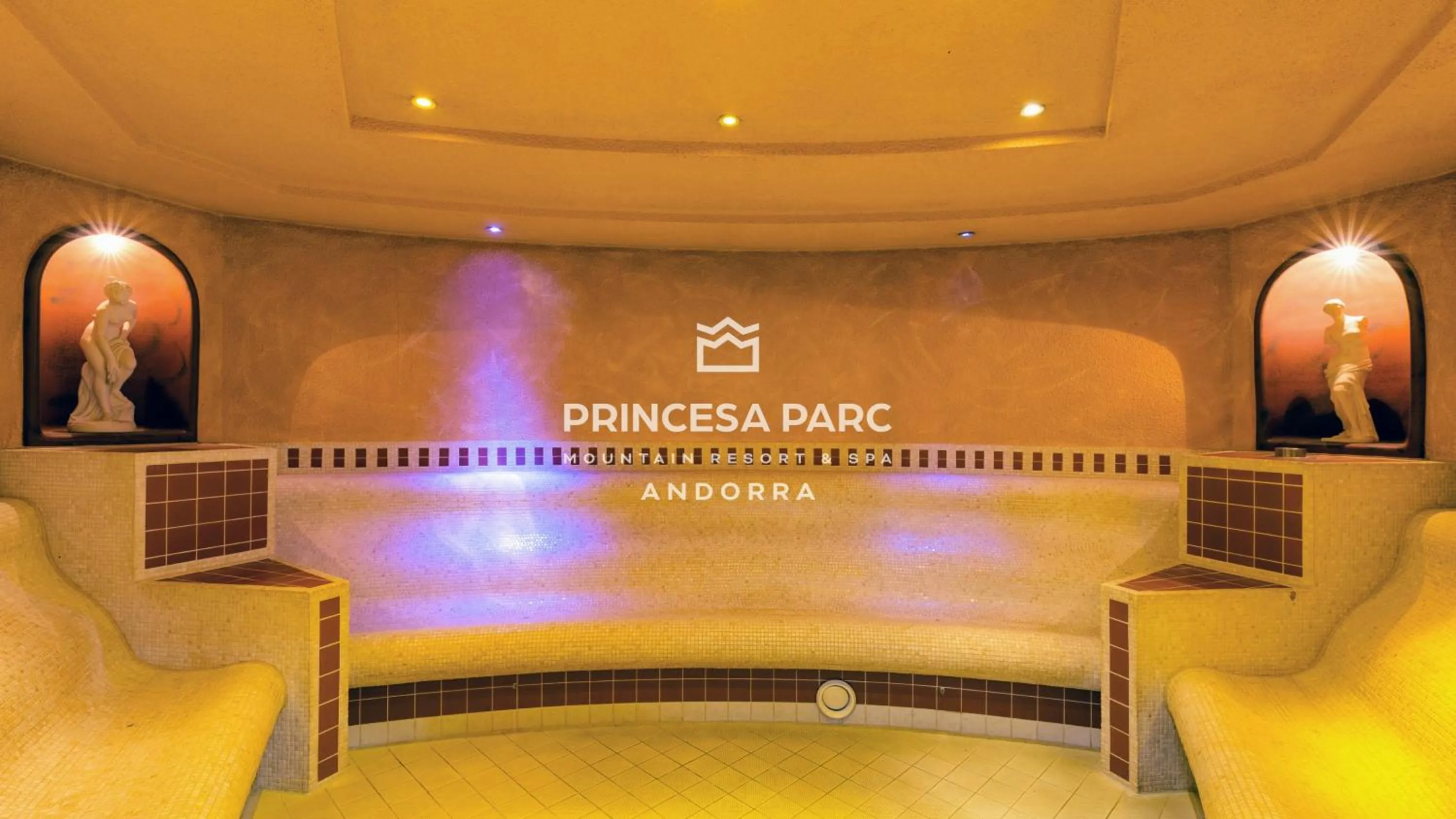 Sauna in Hotel Princesa Parc Excellence