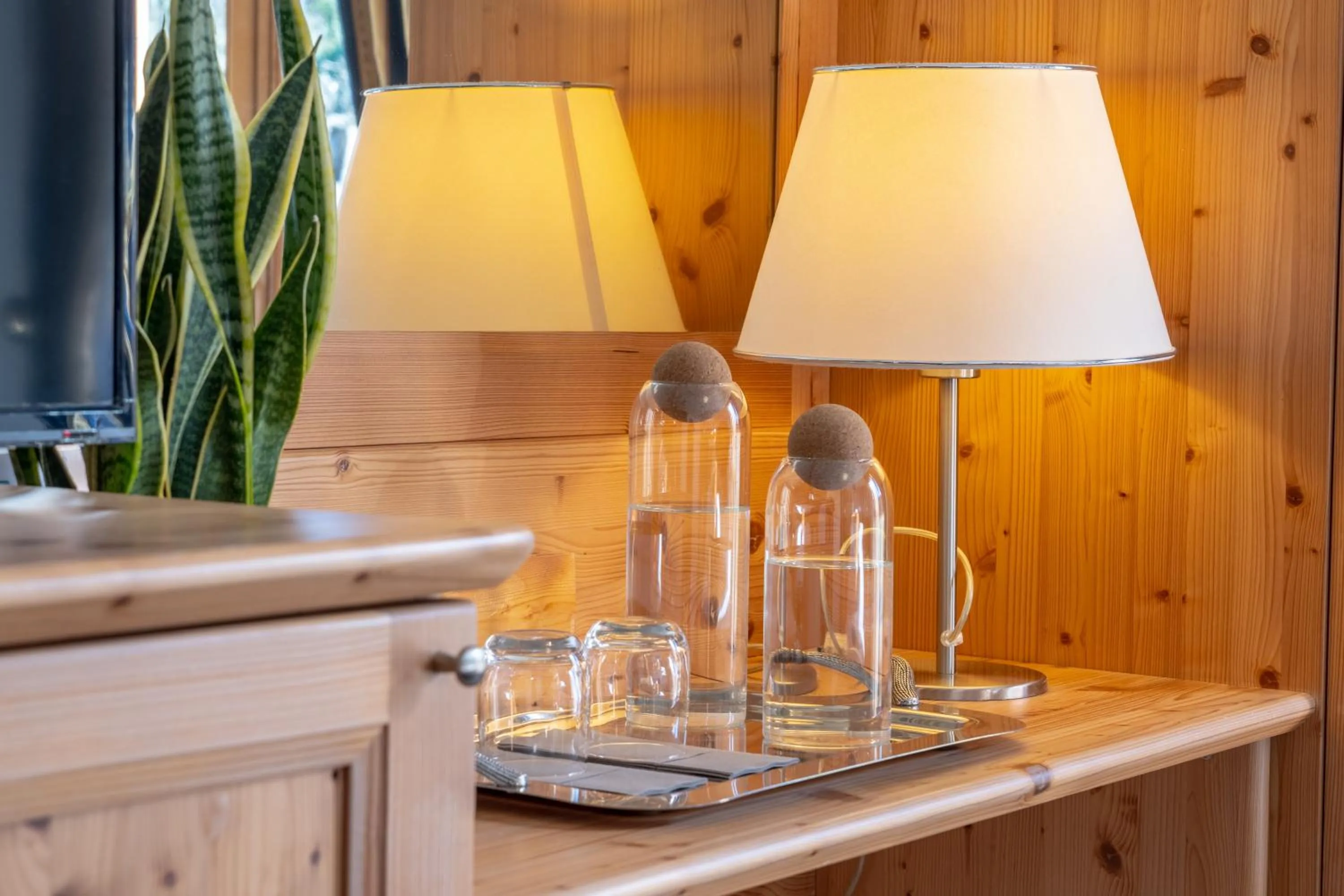 Decorative detail in Hotel Canova Sport & Relax