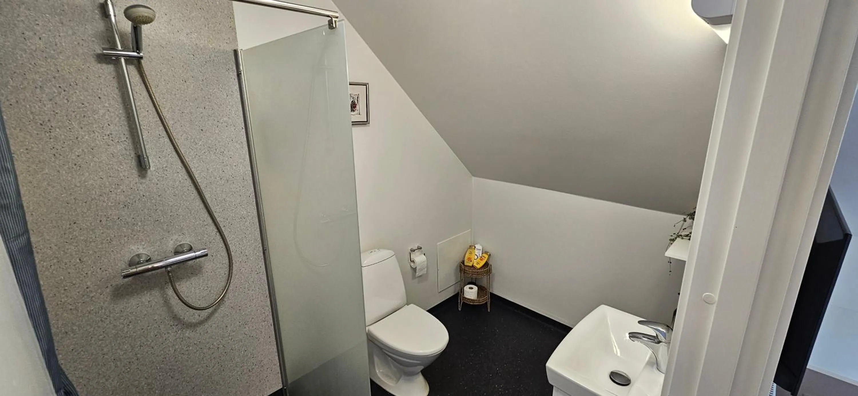 Shower in Olsson B&B