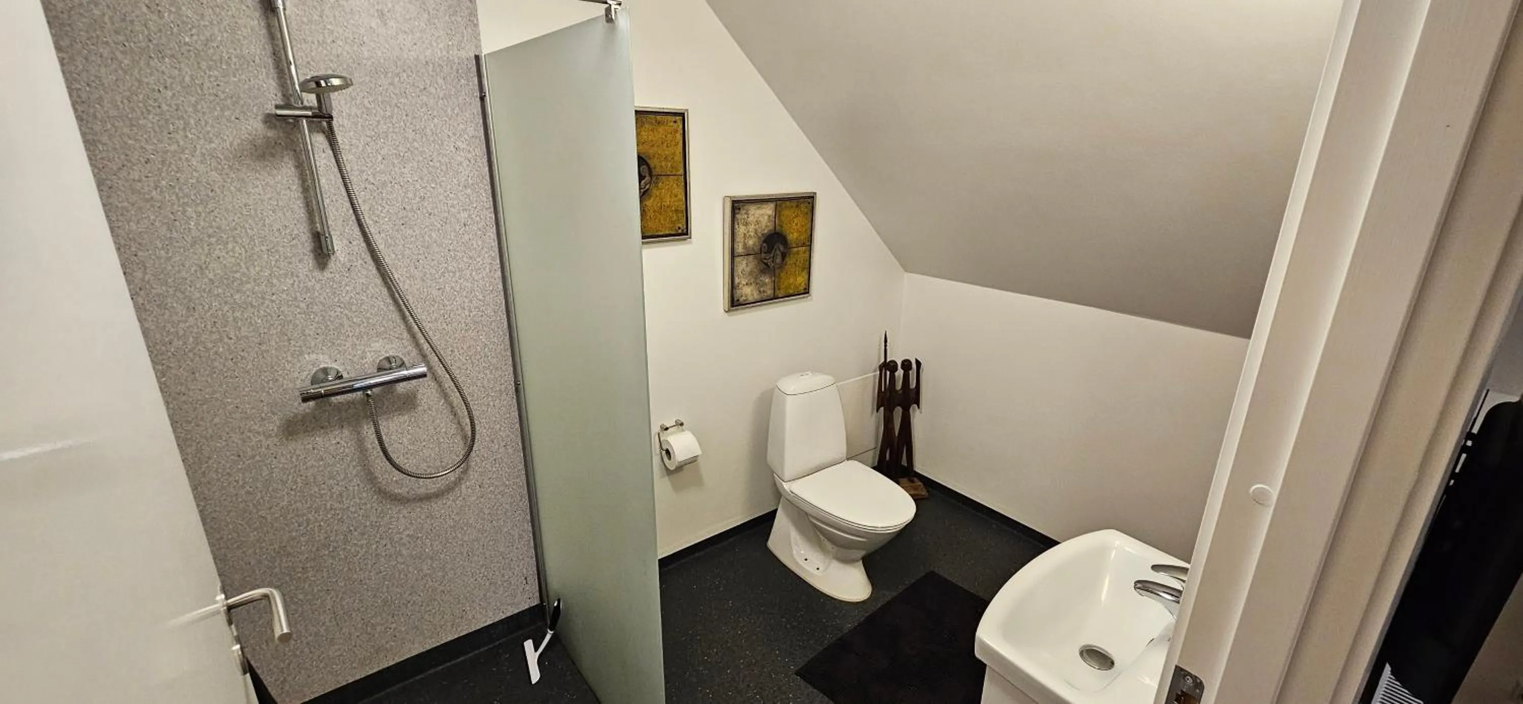 Shower in Olsson B&B