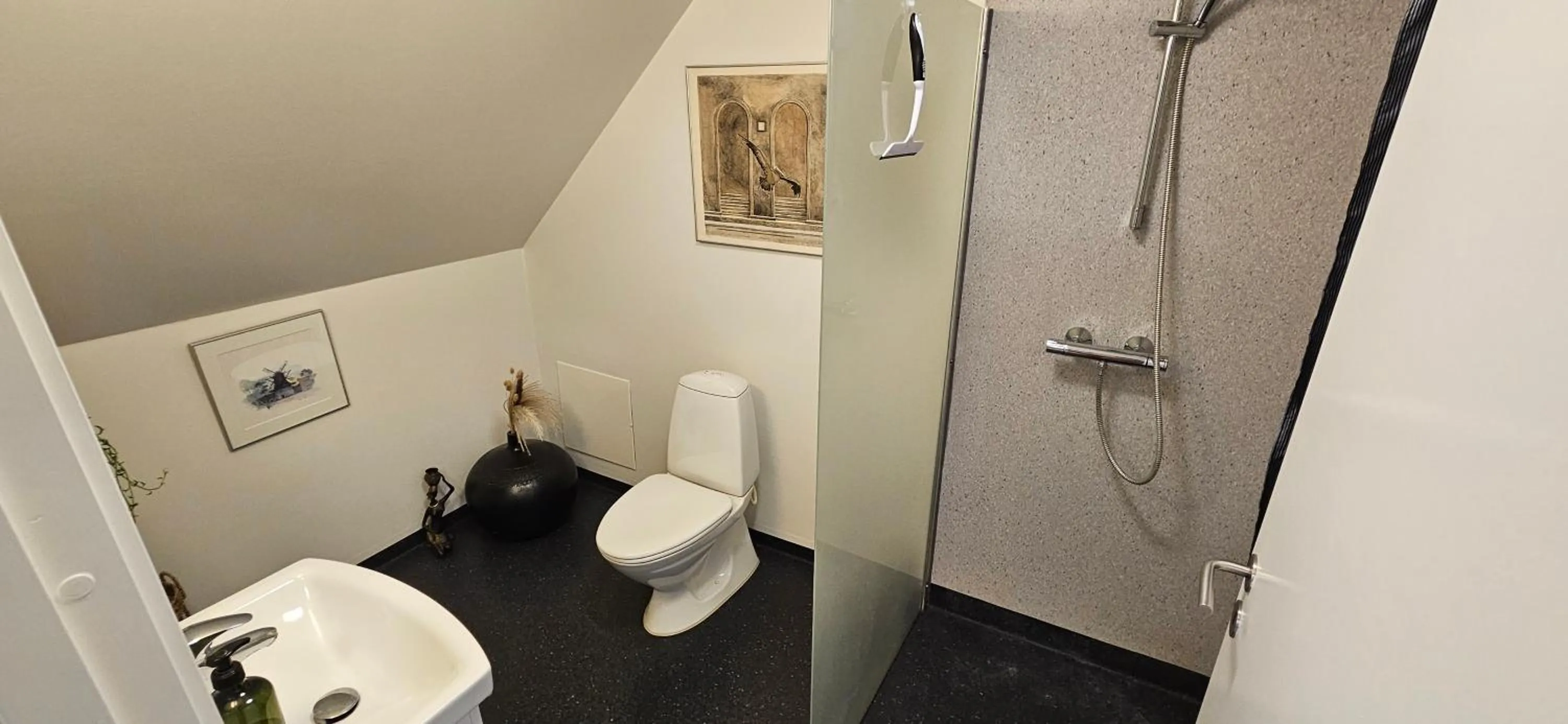 Shower in Olsson B&B