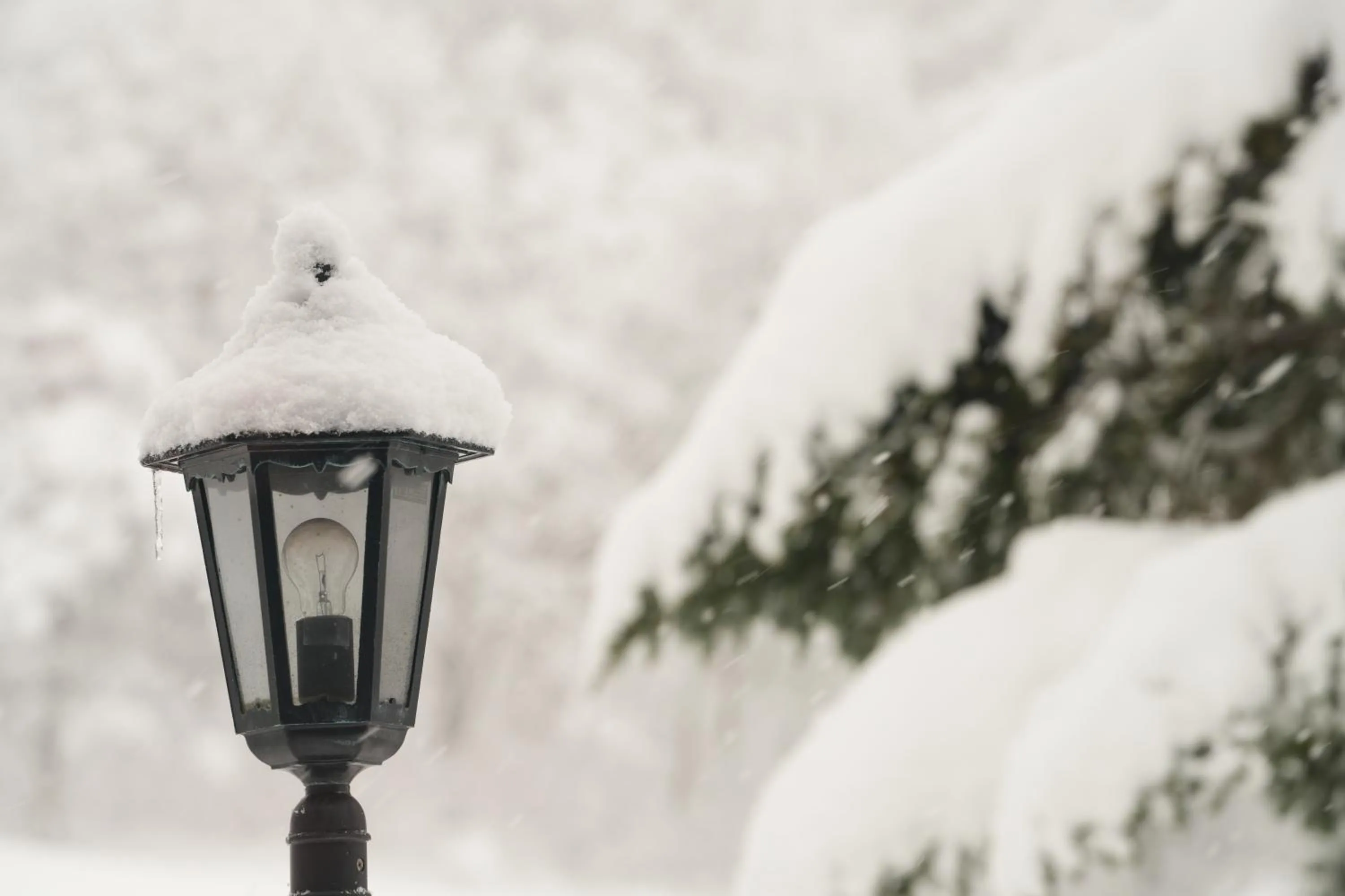 Property building in WHITE HOTEL GRAND HAKUBA