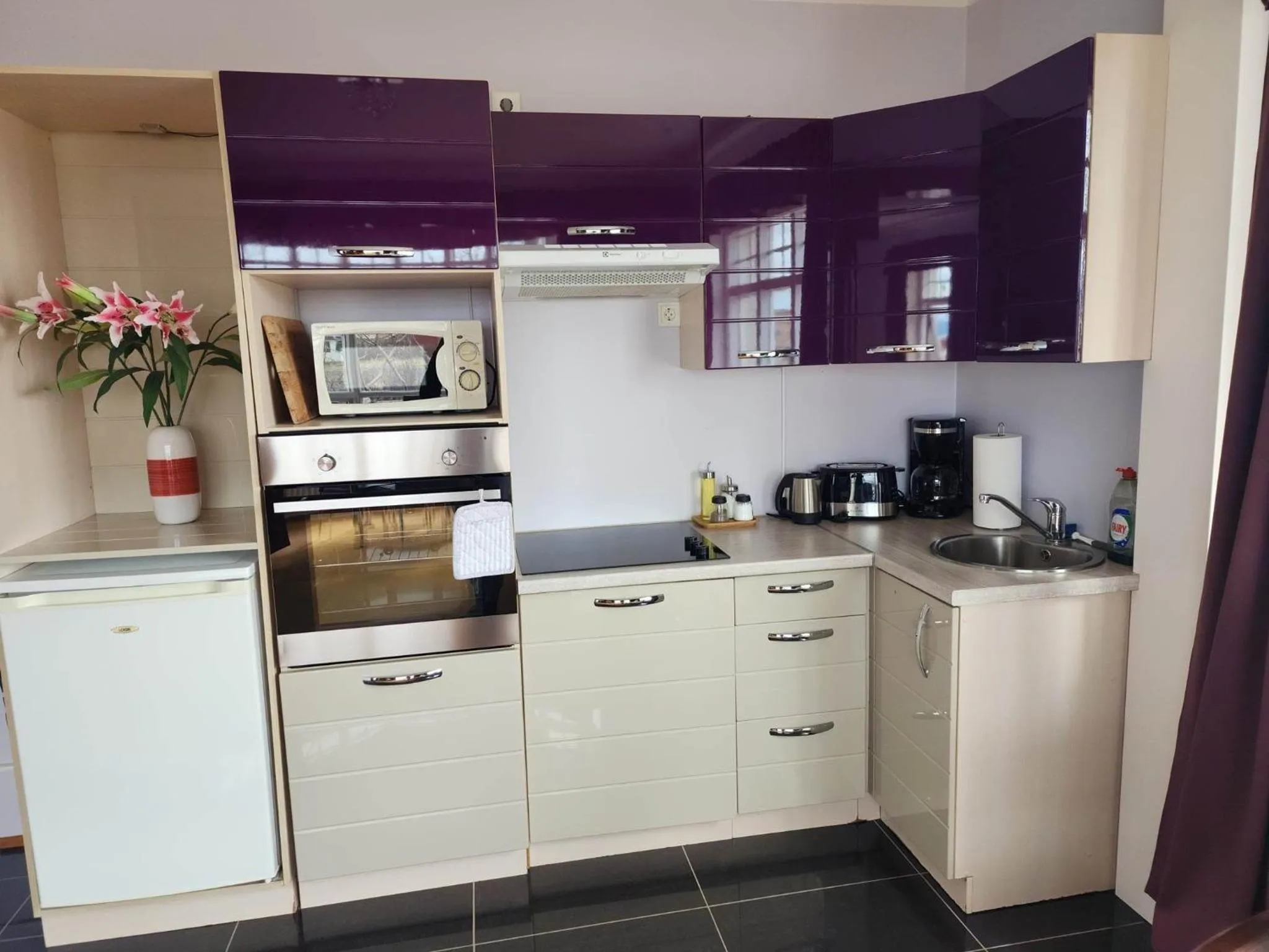 kitchen in Kiljan Apartments & Rooms