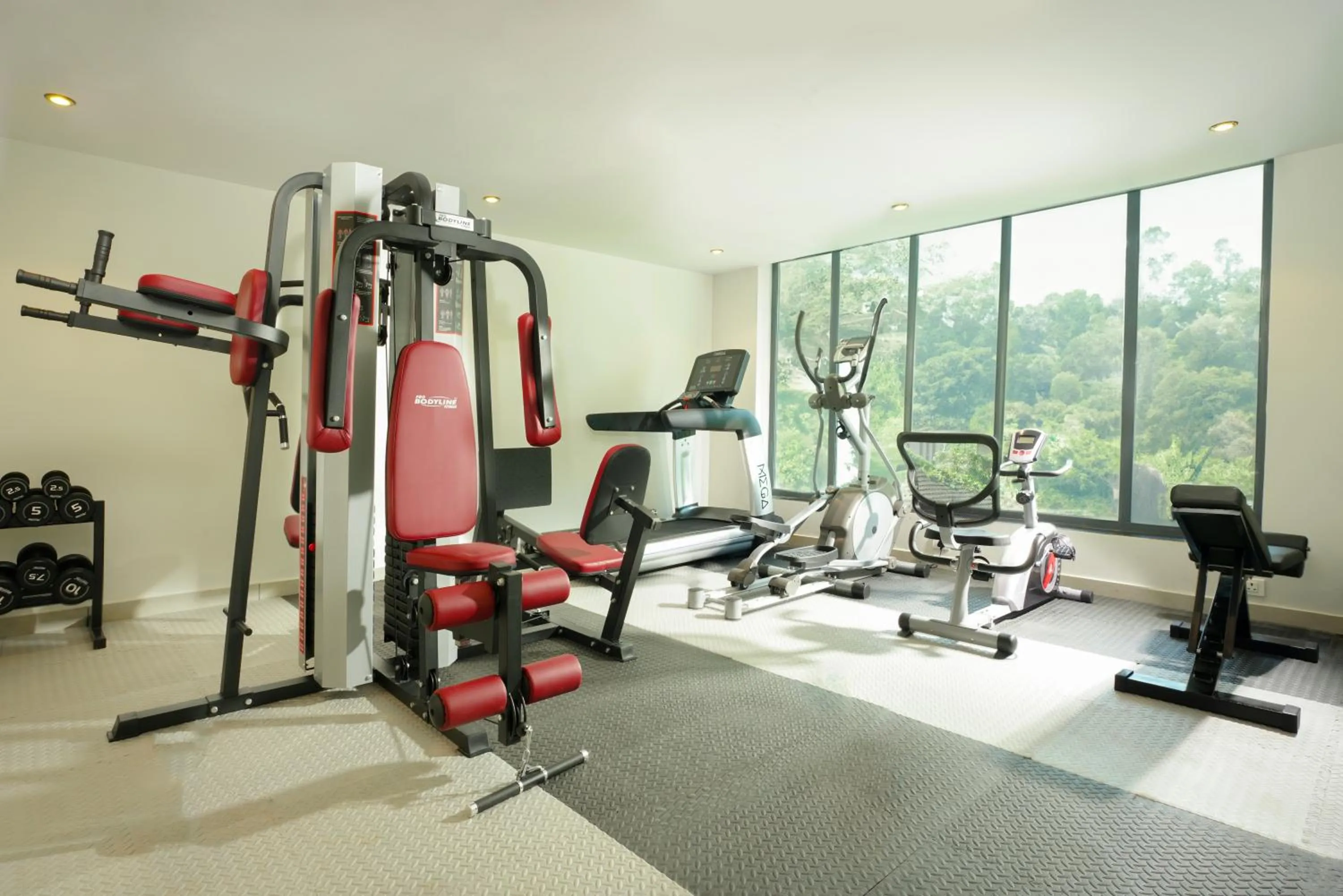 Fitness centre/facilities in Elements by Rosetta- Varca, Goa
