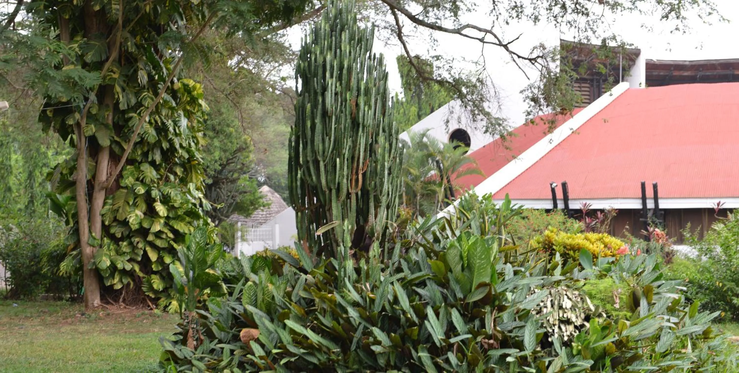 Day in Morogoro Hotel