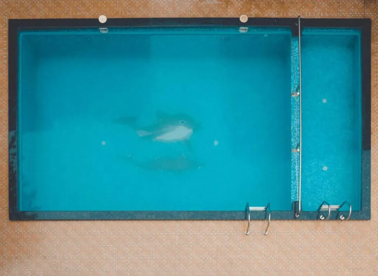 Swimming pool in Anant Villa & Resorts Swimming pool in Anant Villa & Resorts