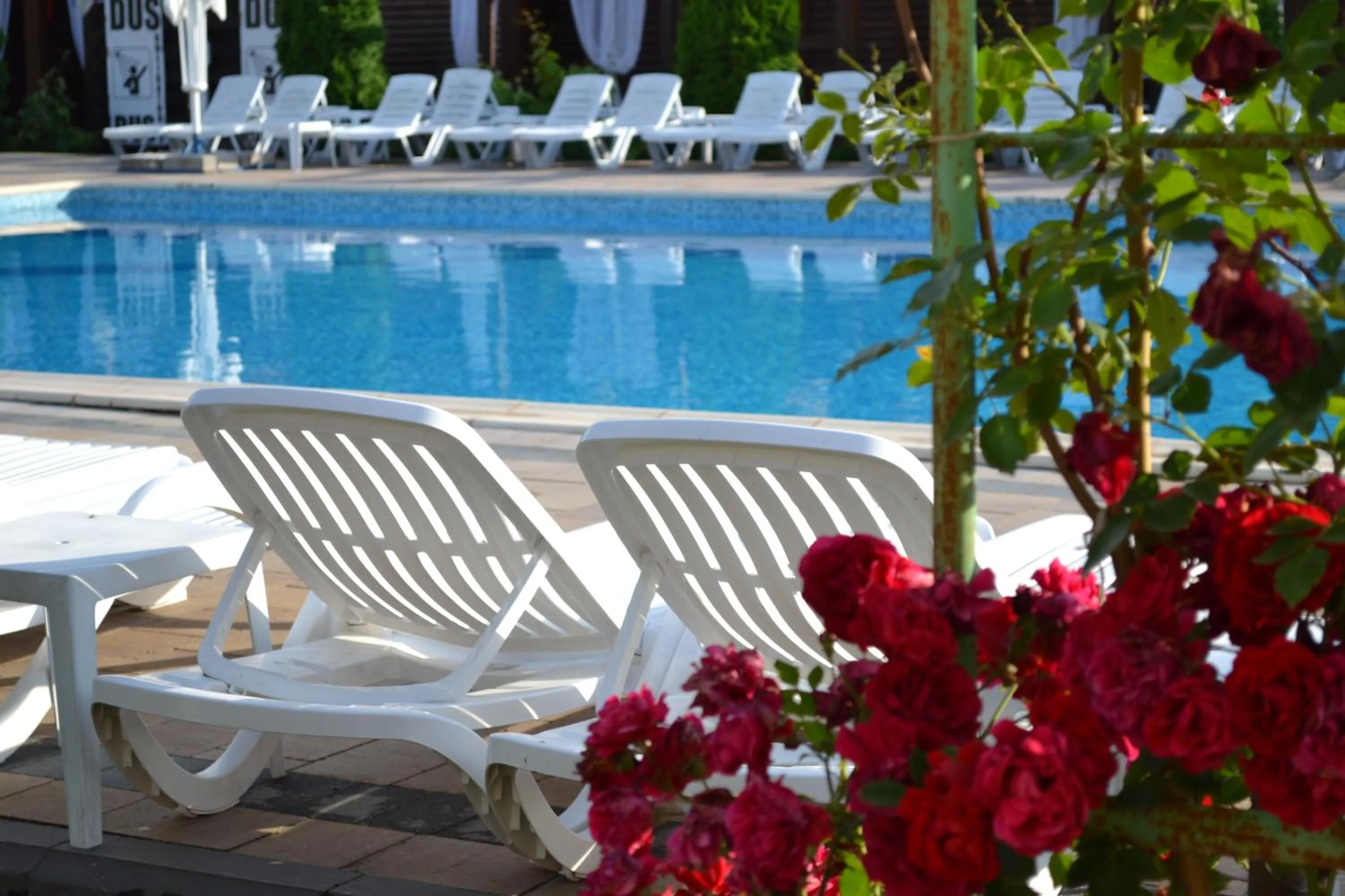 Swimming pool in Hotel Doi Taurasi