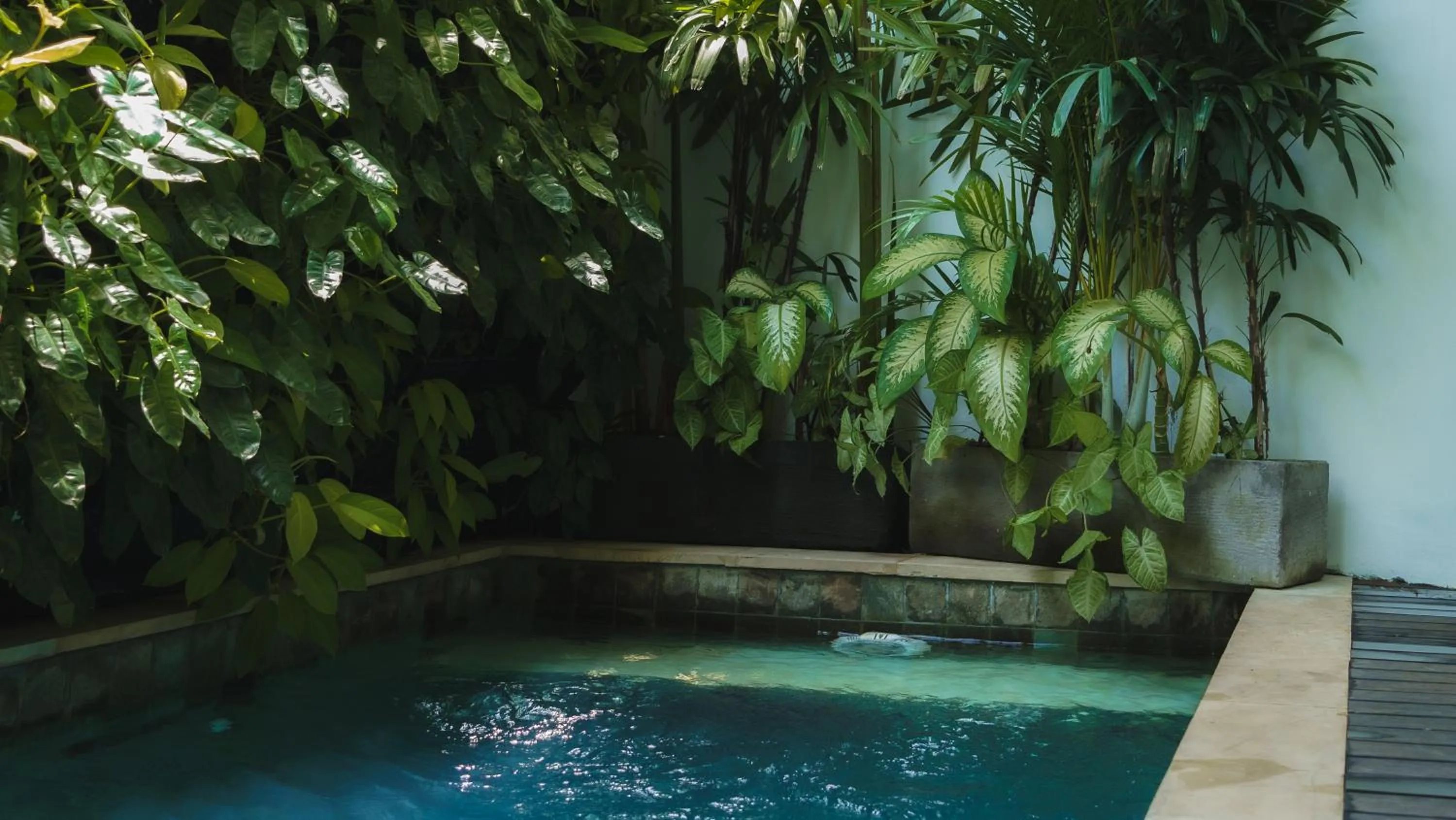 Garden in Premier Umalas Villas