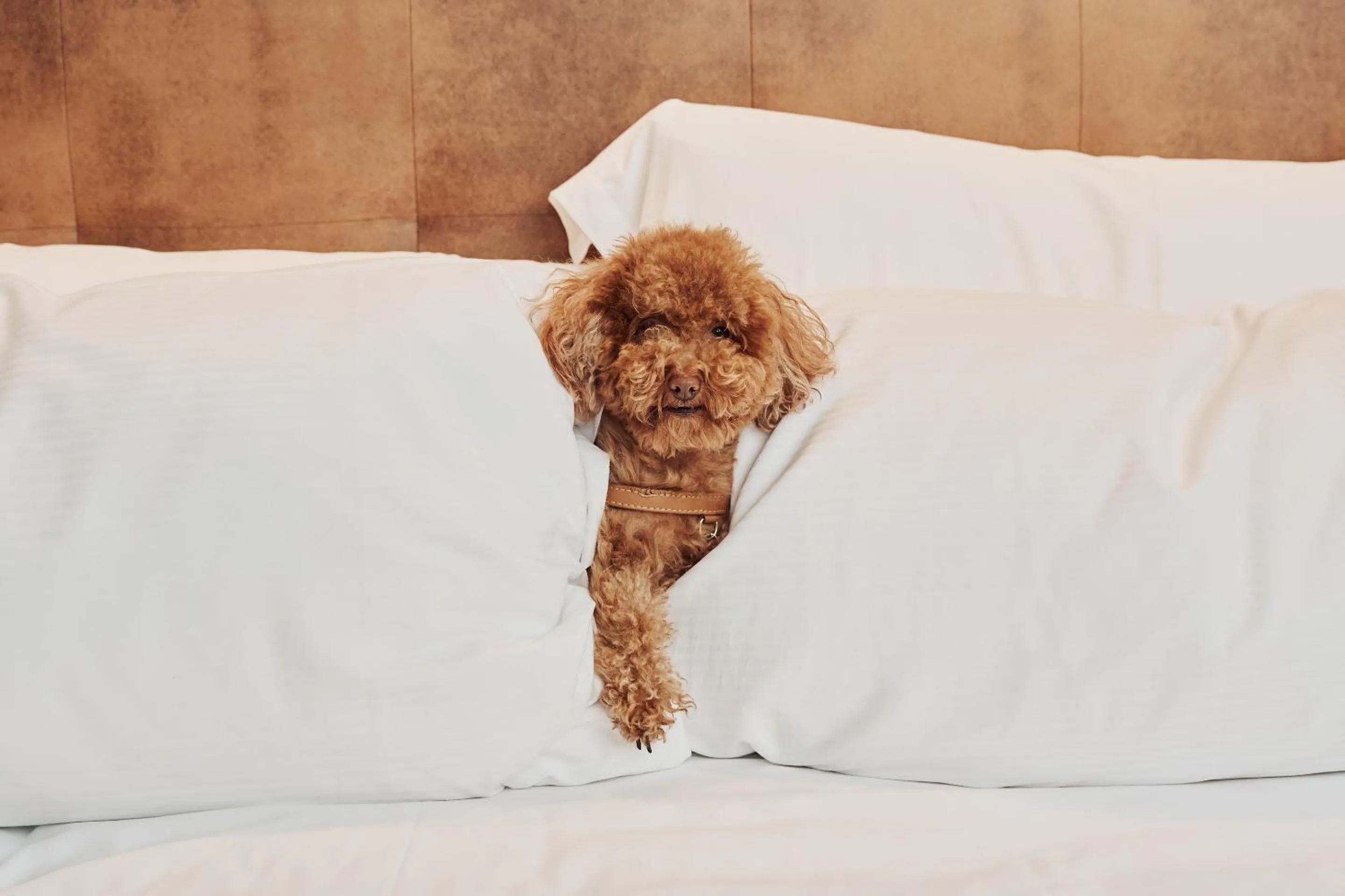 Bed in Palazzo Cordusio Gran Melia - The Leading Hotels of the World