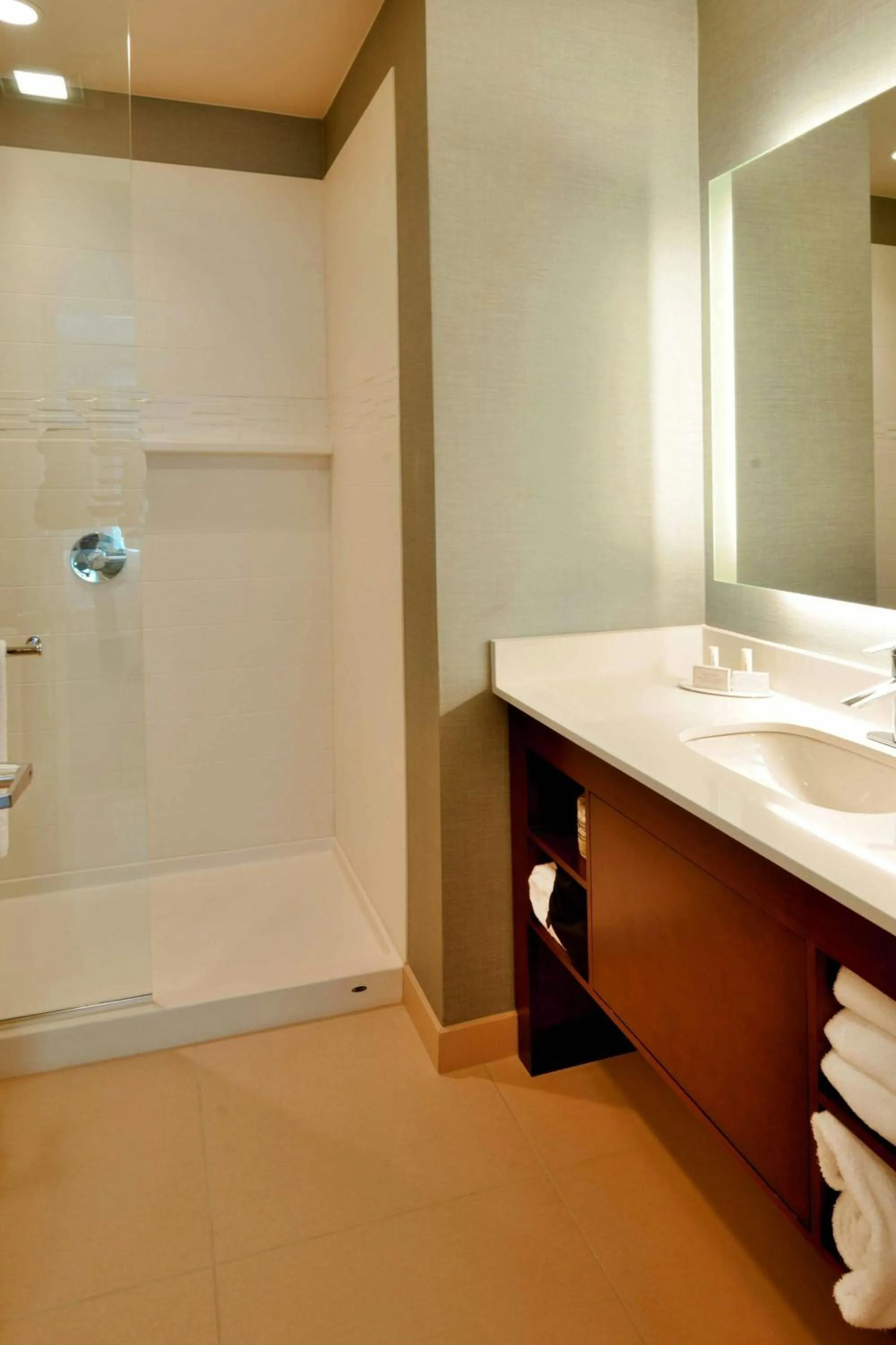 Bathroom in Residence Inn by Marriott Omaha Aksarben Village