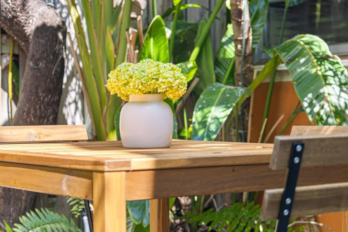 Welcoming Airbnb Walkig distance to Las Olas Blvd