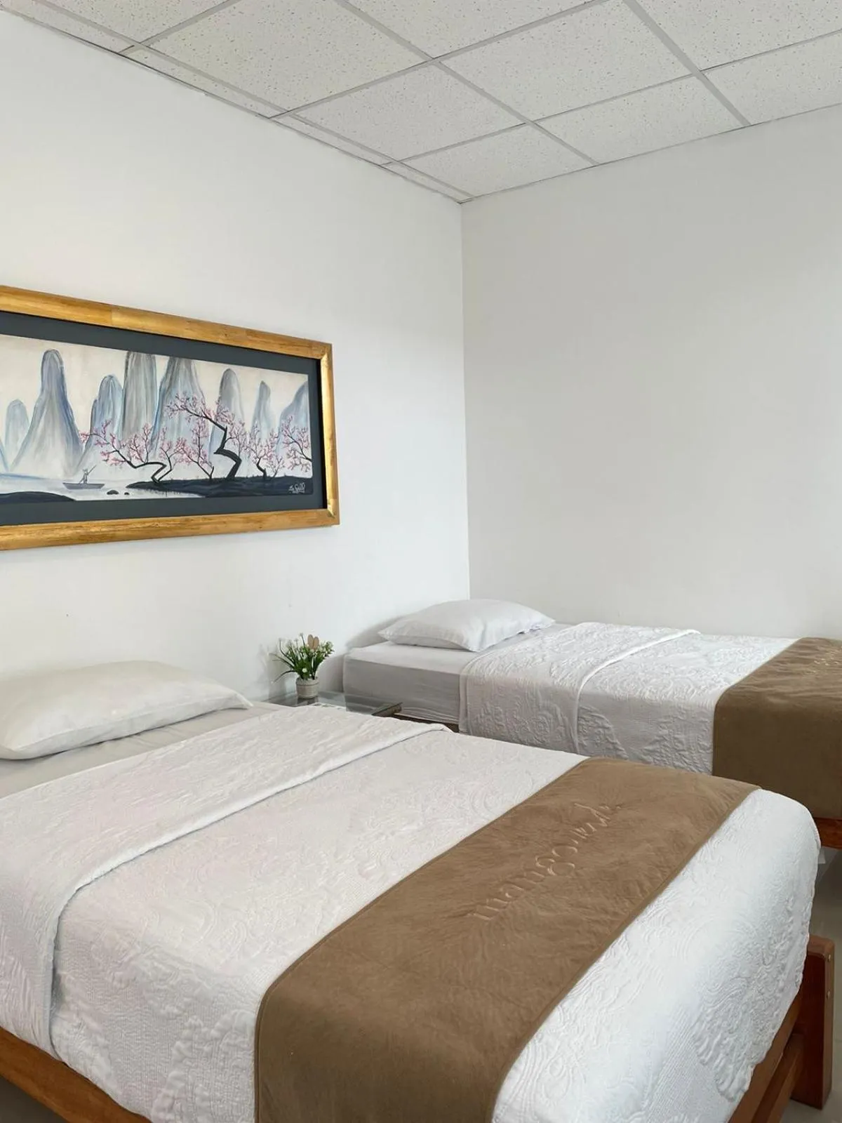 Twin Room - single occupancy in Hotel Mango Verde Bed & Breakfast