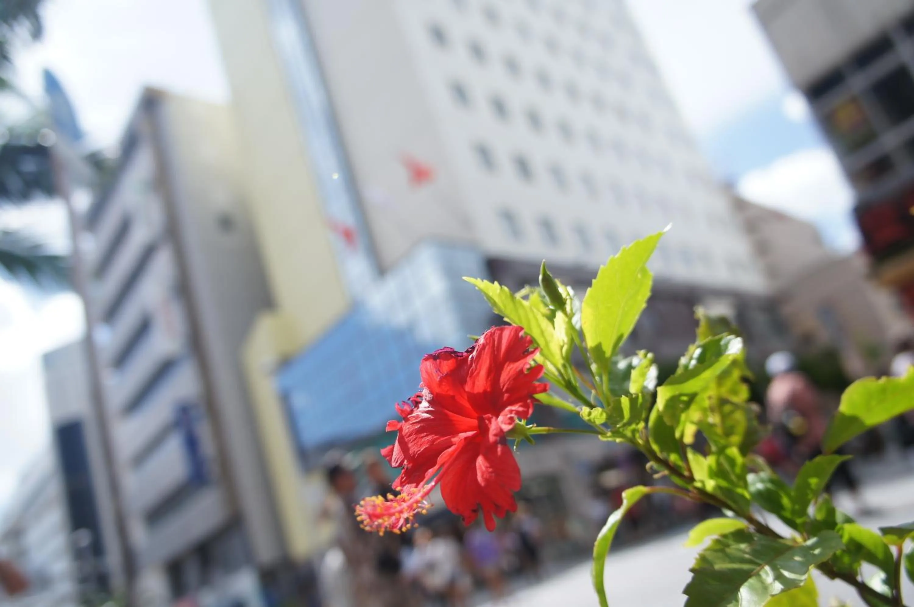 Facade/entrance in Hotel Abest Naha Kokusai Street