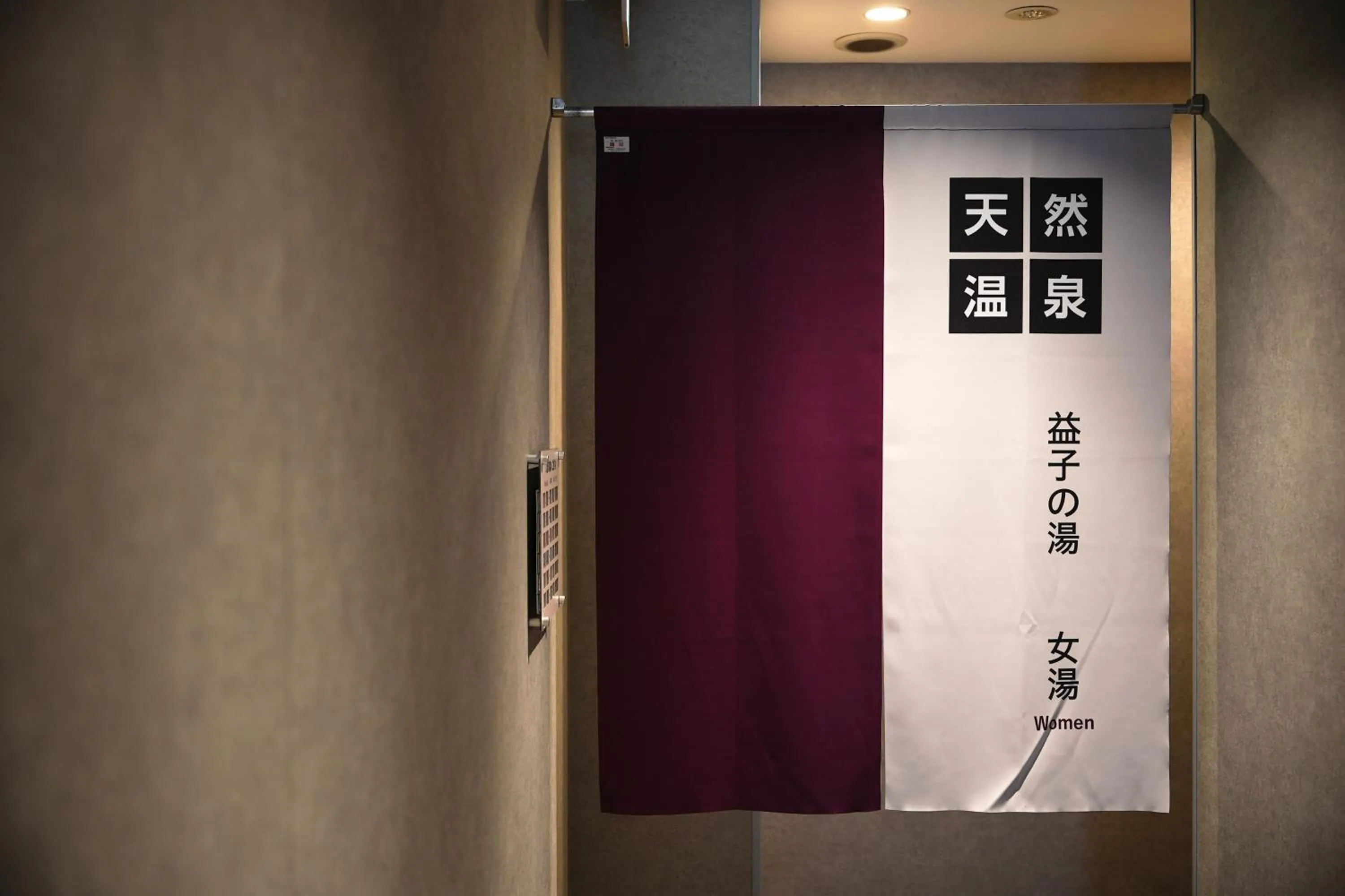 Hot Spring Bath in Super Hotel Utsunomiya