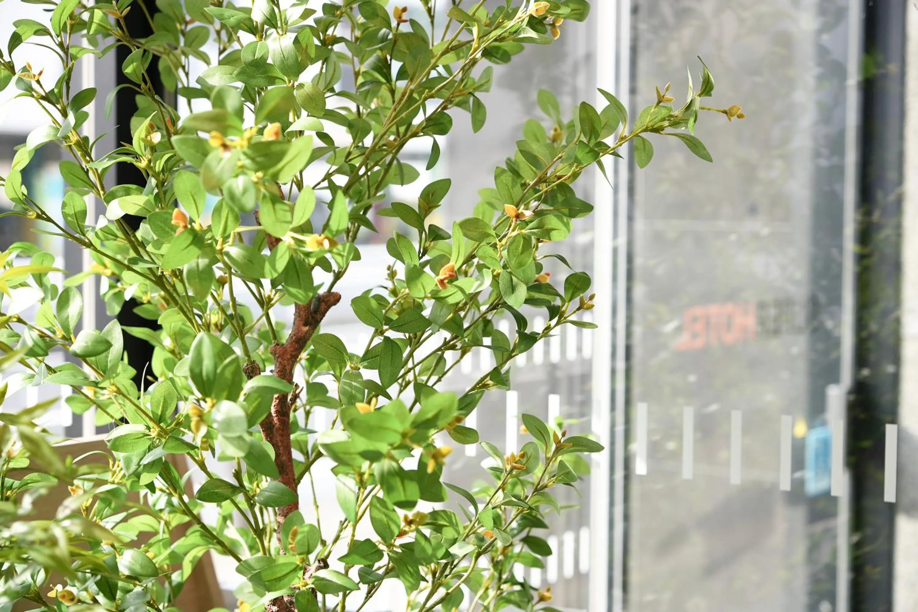 Balcony/Terrace in Super Hotel Utsunomiya