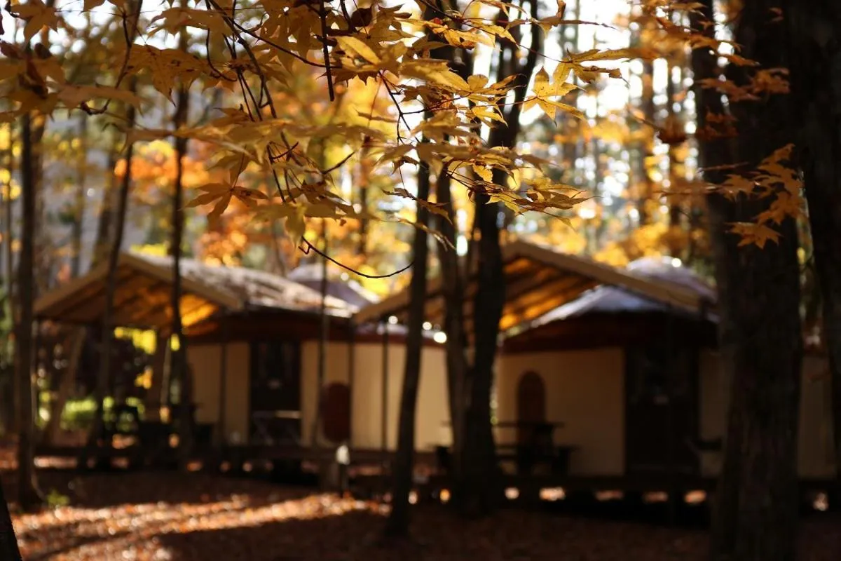 Natural landscape in PICA Fujiyoshida