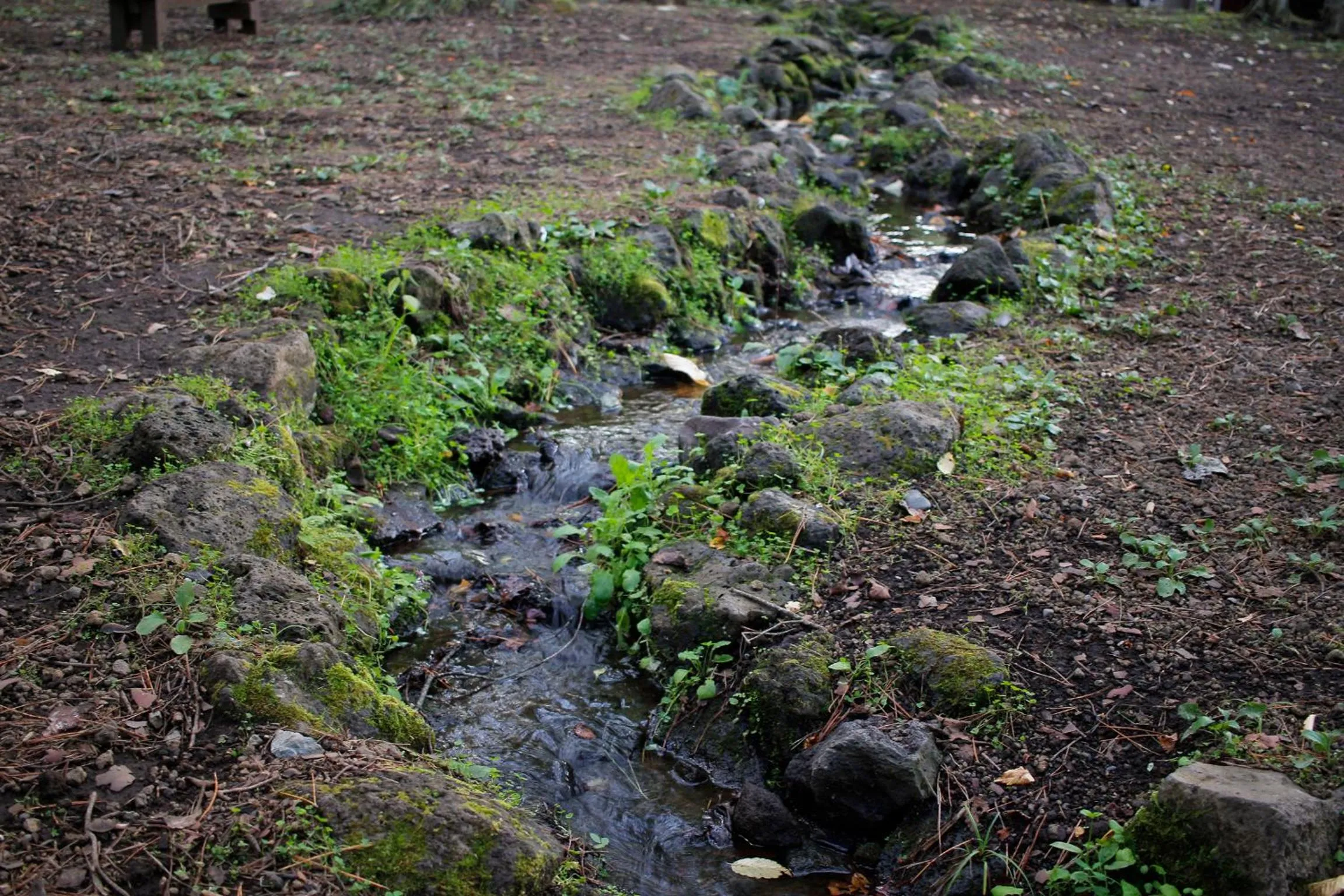 Natural landscape in PICA Fujiyoshida