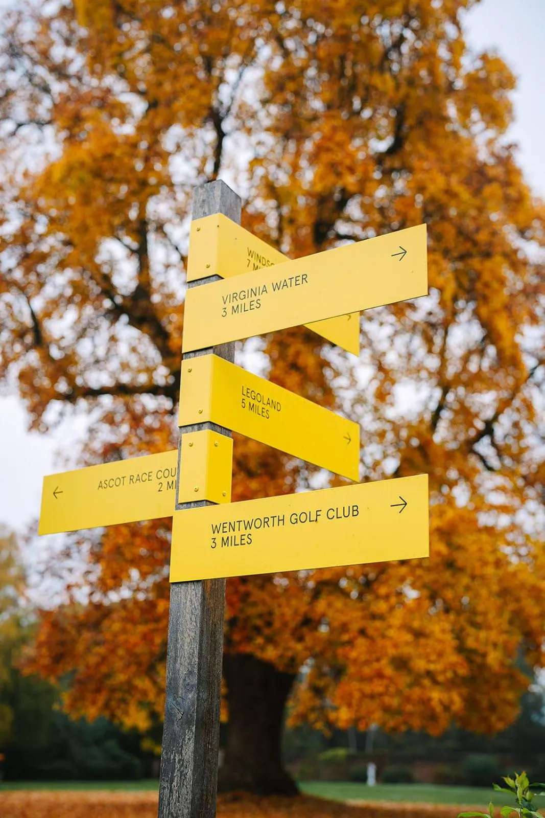 Garden in Royal Berkshire