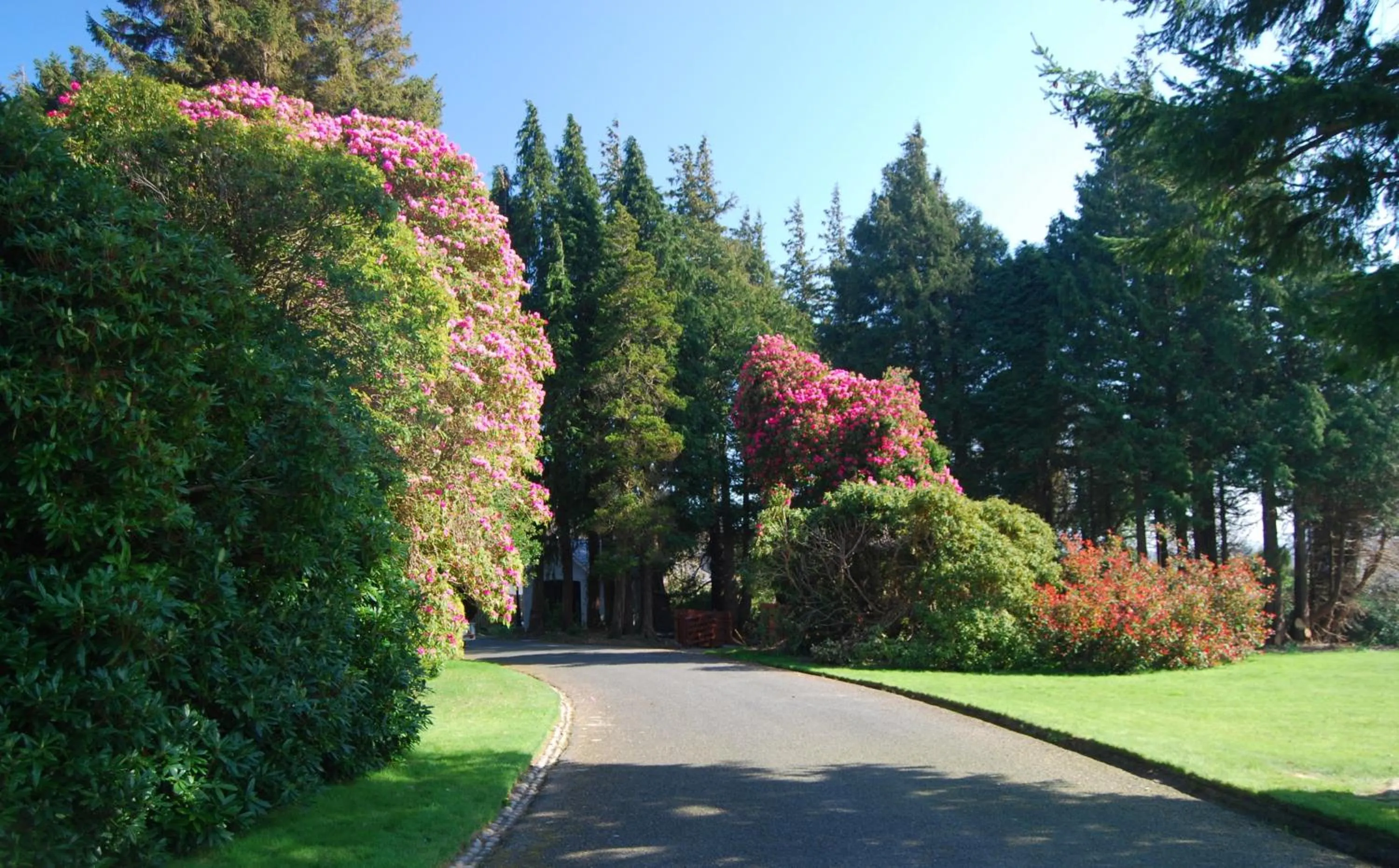 Garden in Enniskeen Country House Hotel